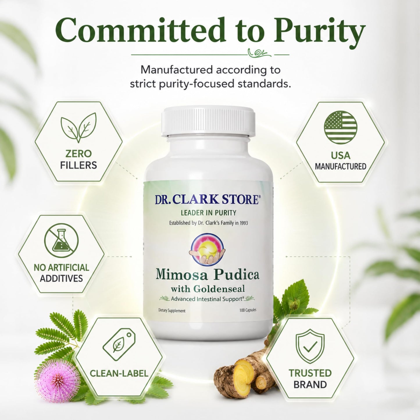 Dr Clark Store Mimosa Pudica & Goldenseal 100 Capsules