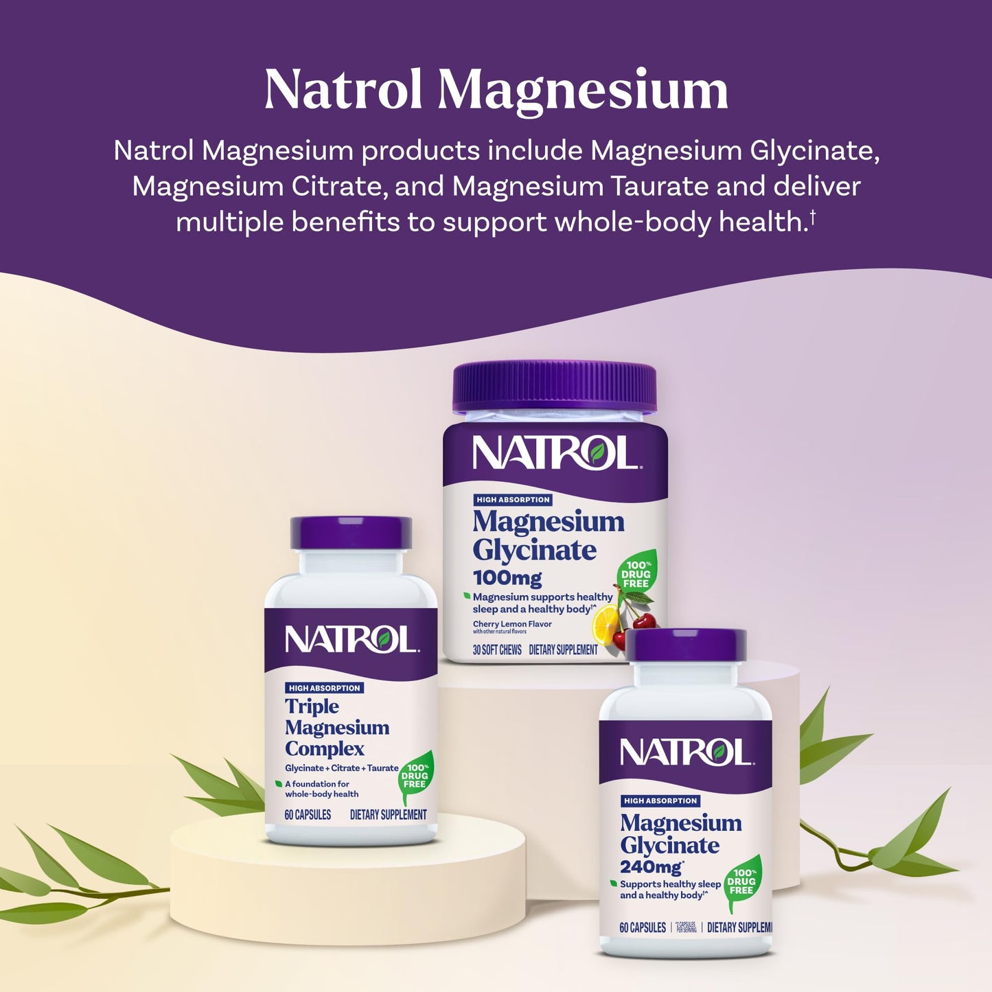 Natrol Triple Magnesium Complex Capsules 60 Count