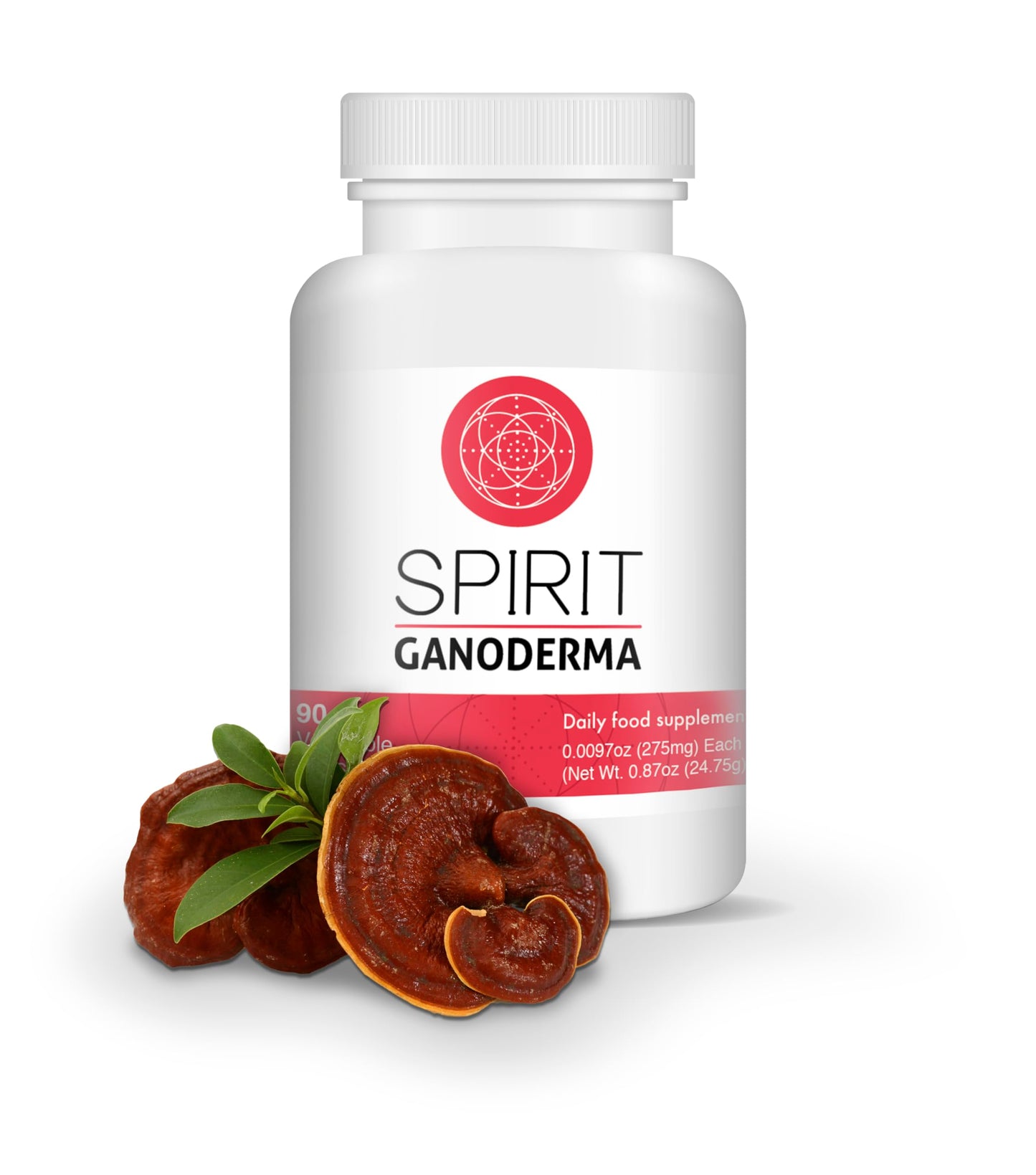 Generic Ganoderma Reishi Mushroom Powder, 1 Ounce