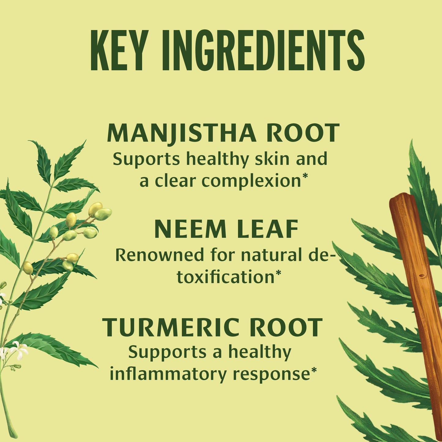 Banyan Botanicals Organic Blood Cleanse–Clear Skin Supplement with Neem & Manjistha–Natural Liver Detox & Lymphatic Drainage–Internal Skin Purifier & Circulation Support 90 Tablets