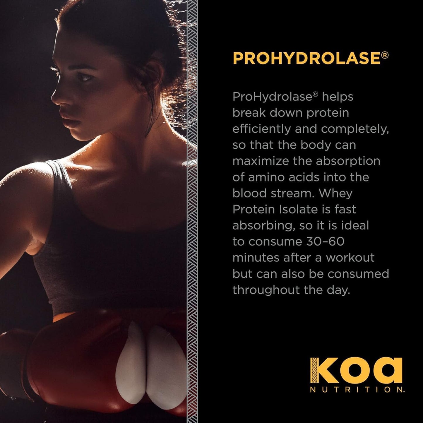 Koa Nutrition Warrior Whey Protein Isolate Powder, 96 Servings, 6 lb
