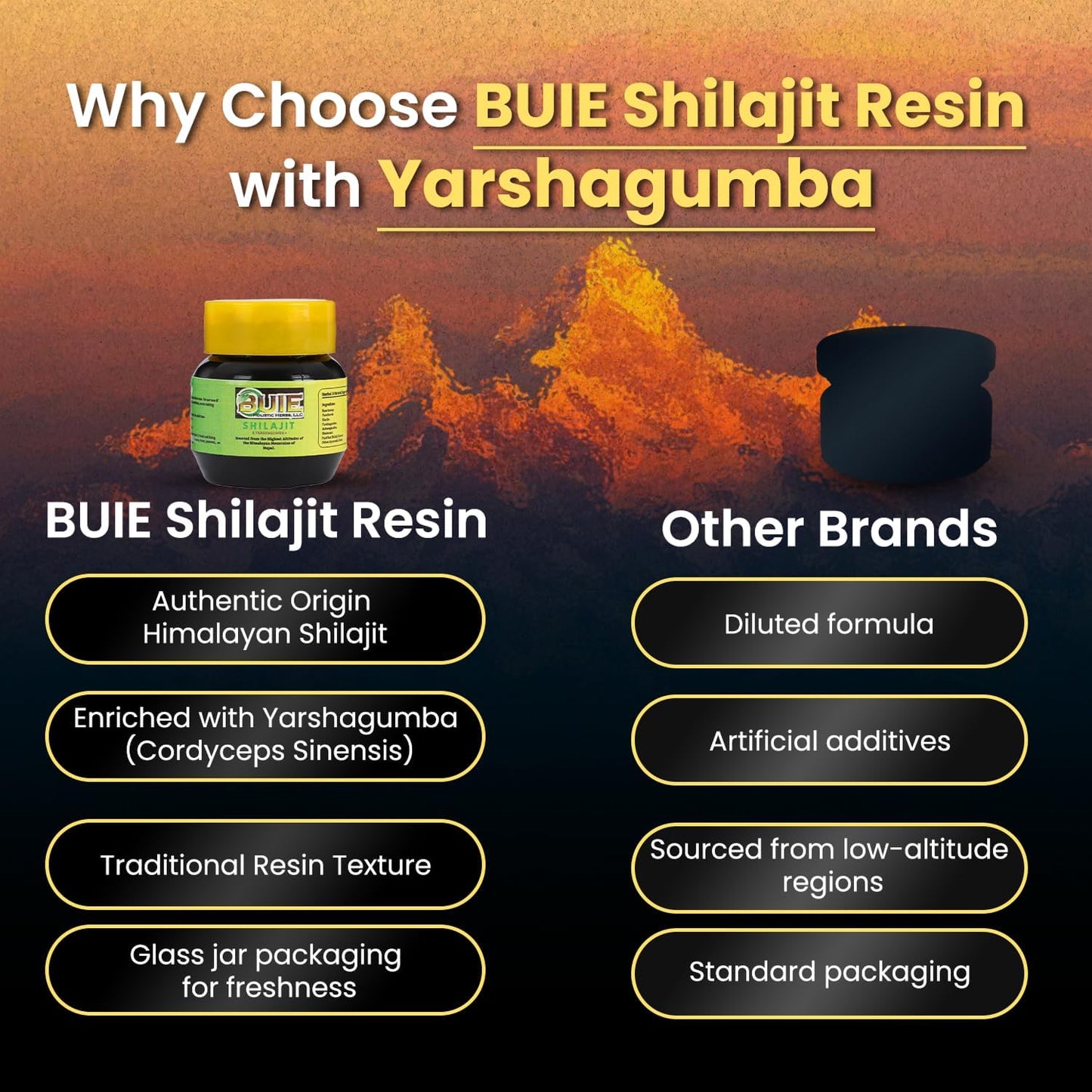 BUIE Shilajit Resin With Yarshagumba Softgel 1 Count