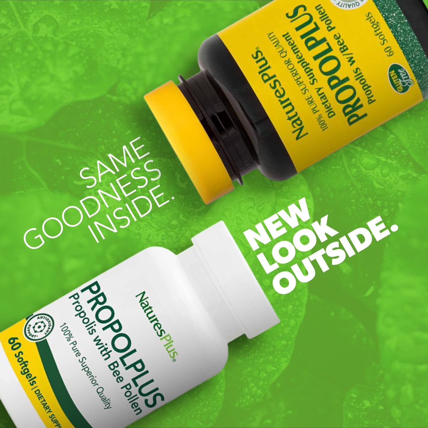 NaturesPlus Propolplus Bee Propolis & Pollen Softgels 60