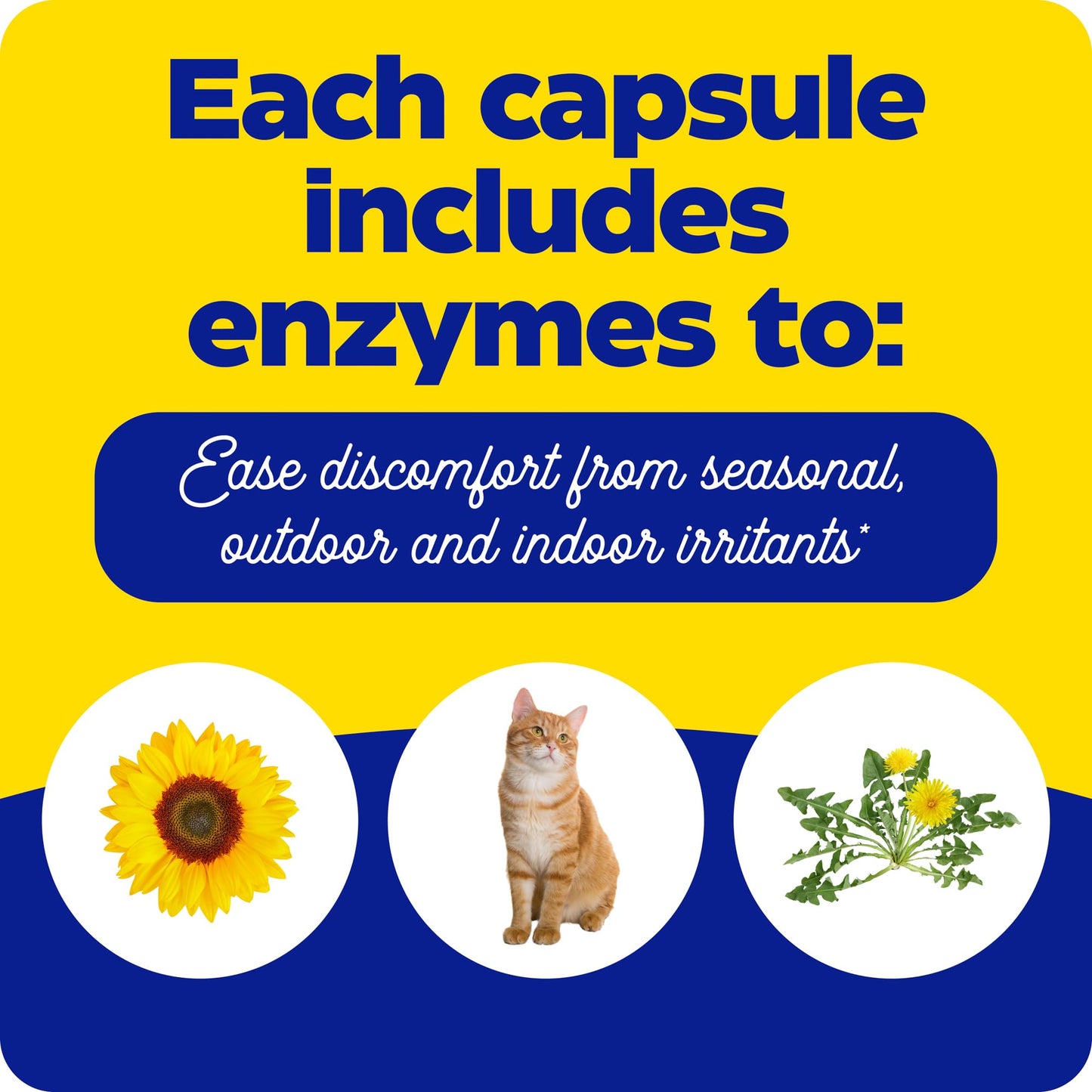 Enzymedica Allerase for Adults 60 Capsules