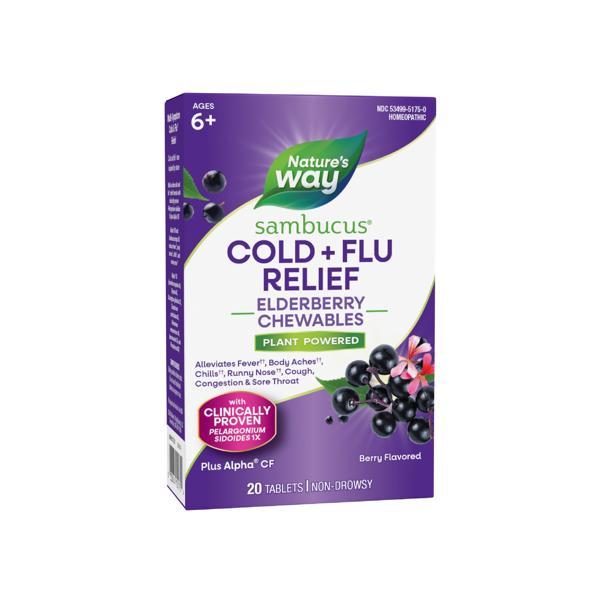 Nature's Way Sambucus Cold + Flu Relief Elderberry Tablets, 20 Tablets