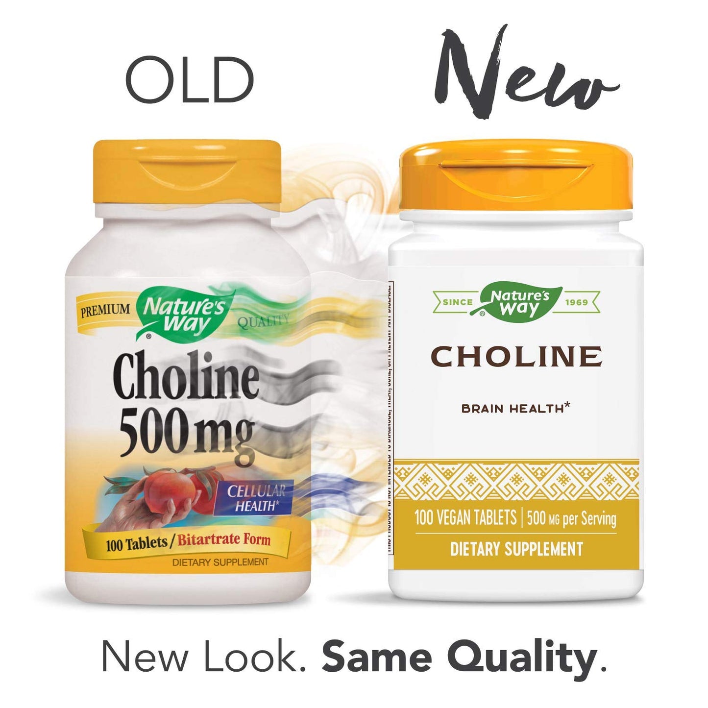 Nature's Way Choline 500 mg per serving Tablets, 200 Tablets