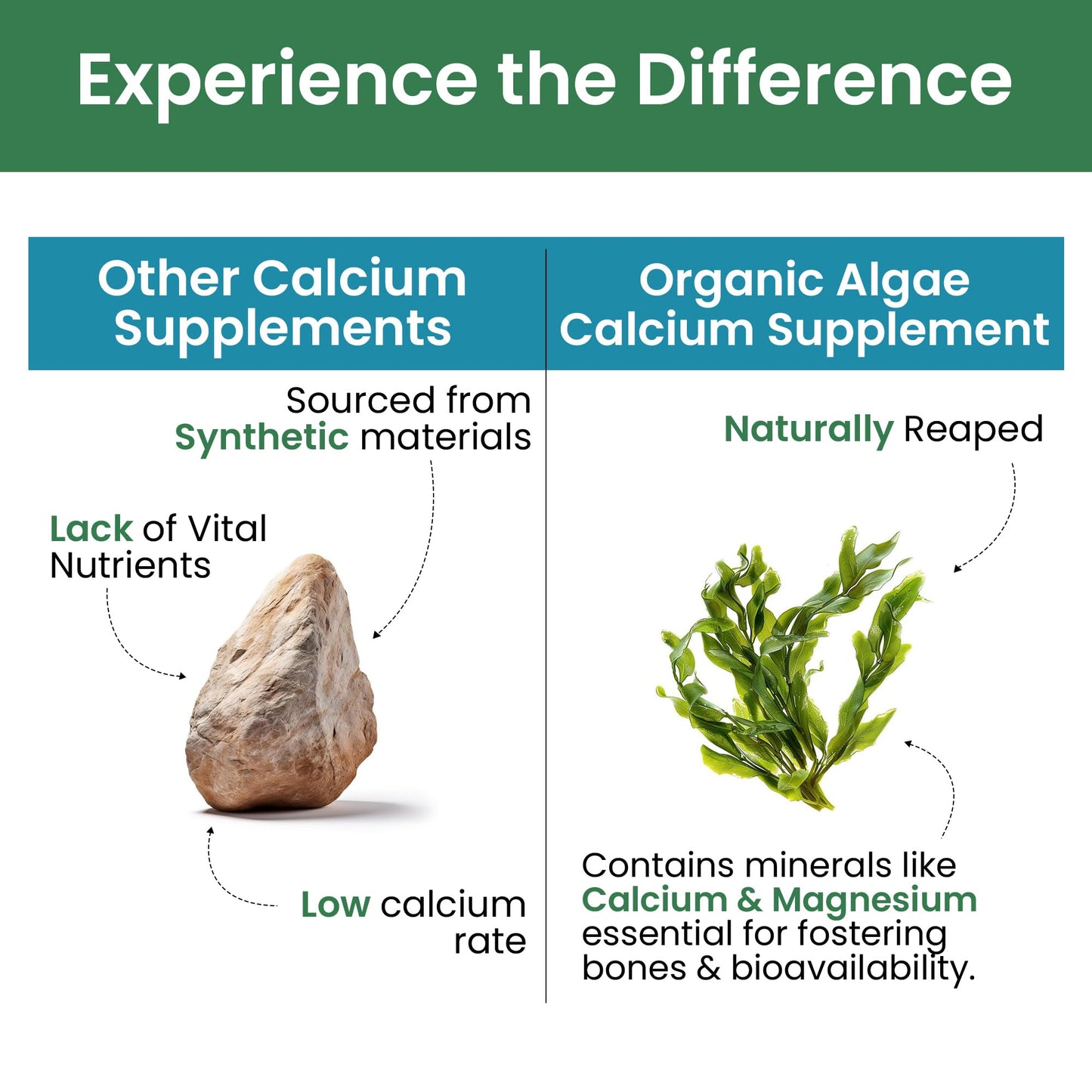 Pure Nutrition Natural Treasures Cal D - Plant Based Calcium with Vitamin D3, K2 & Magnesium, 120 Tablets