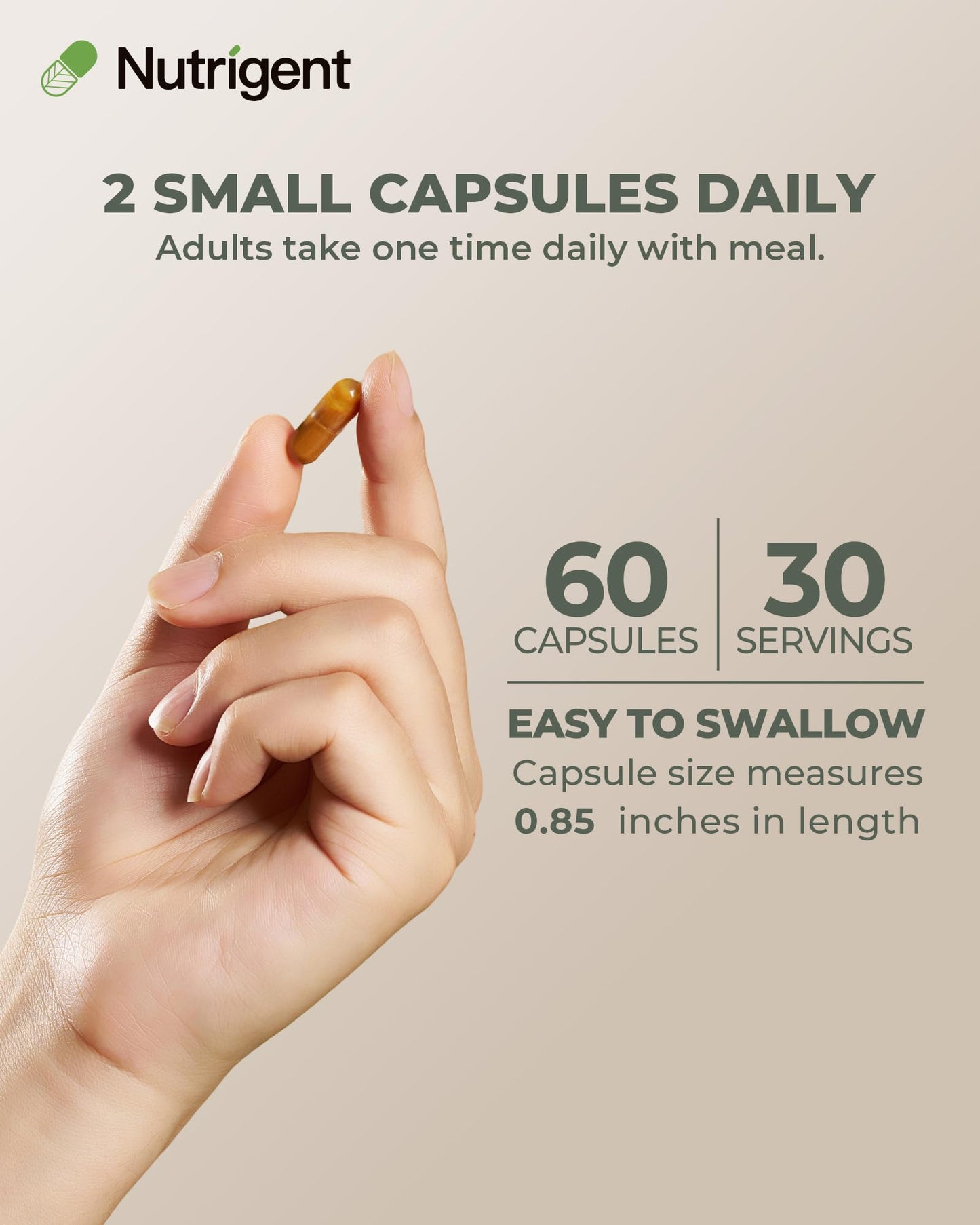 Nutrigent USDA Organic Milk Thistle Liver Support 60 Capsules