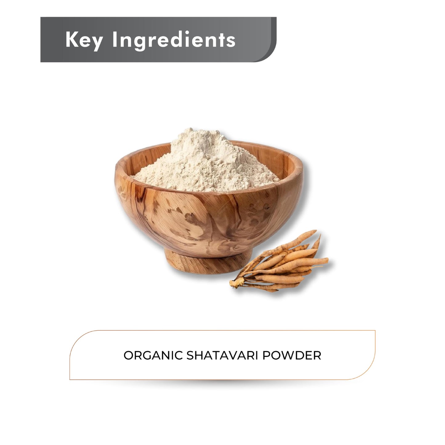 Just Jaivik Shatavari Powder 8 oz