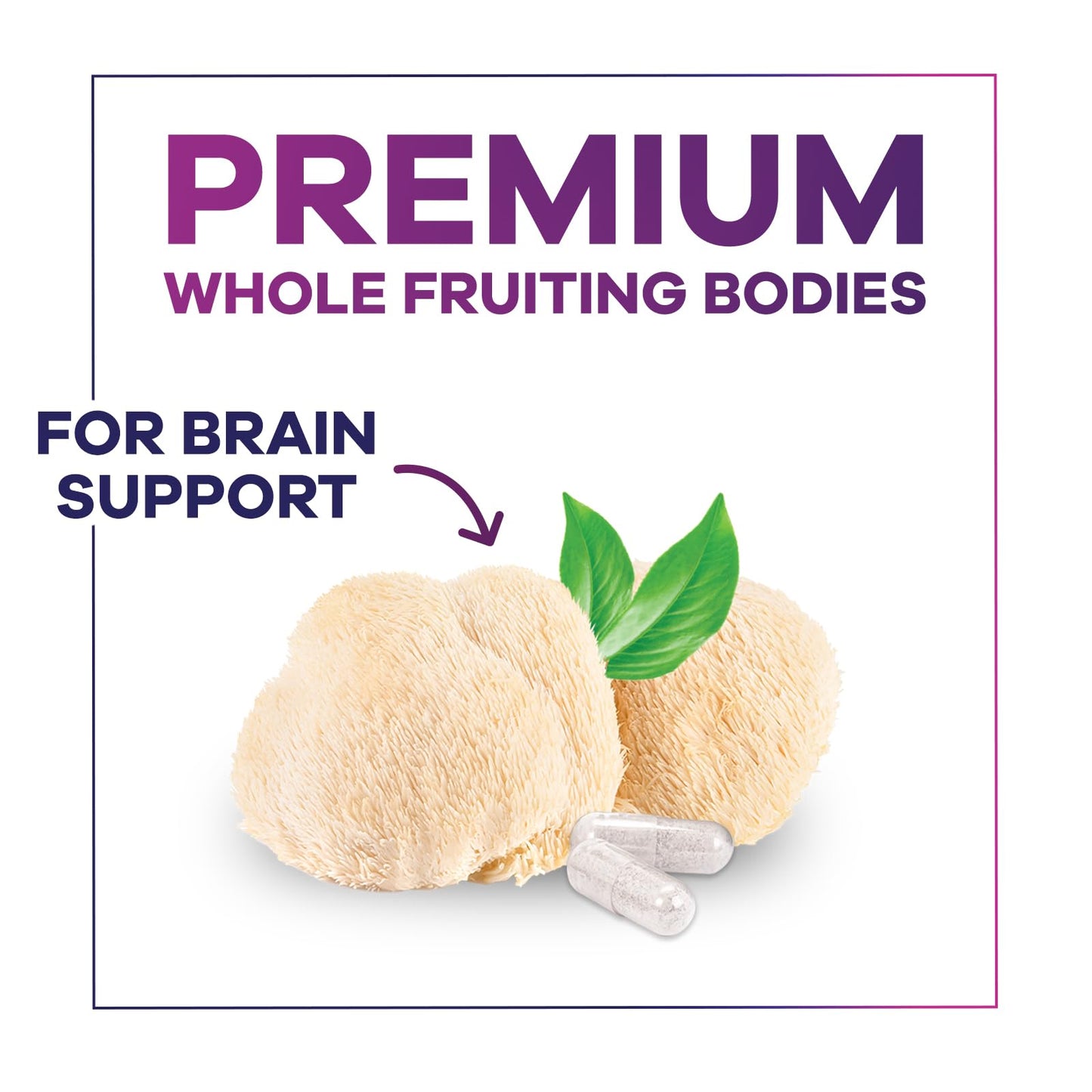 Nature's Peak Lions Mane Supplement Capsules 1000mg per Serving, Extra Strength Lions Mane Mushroom, Brain and Immune Health Support, 120 Capsules