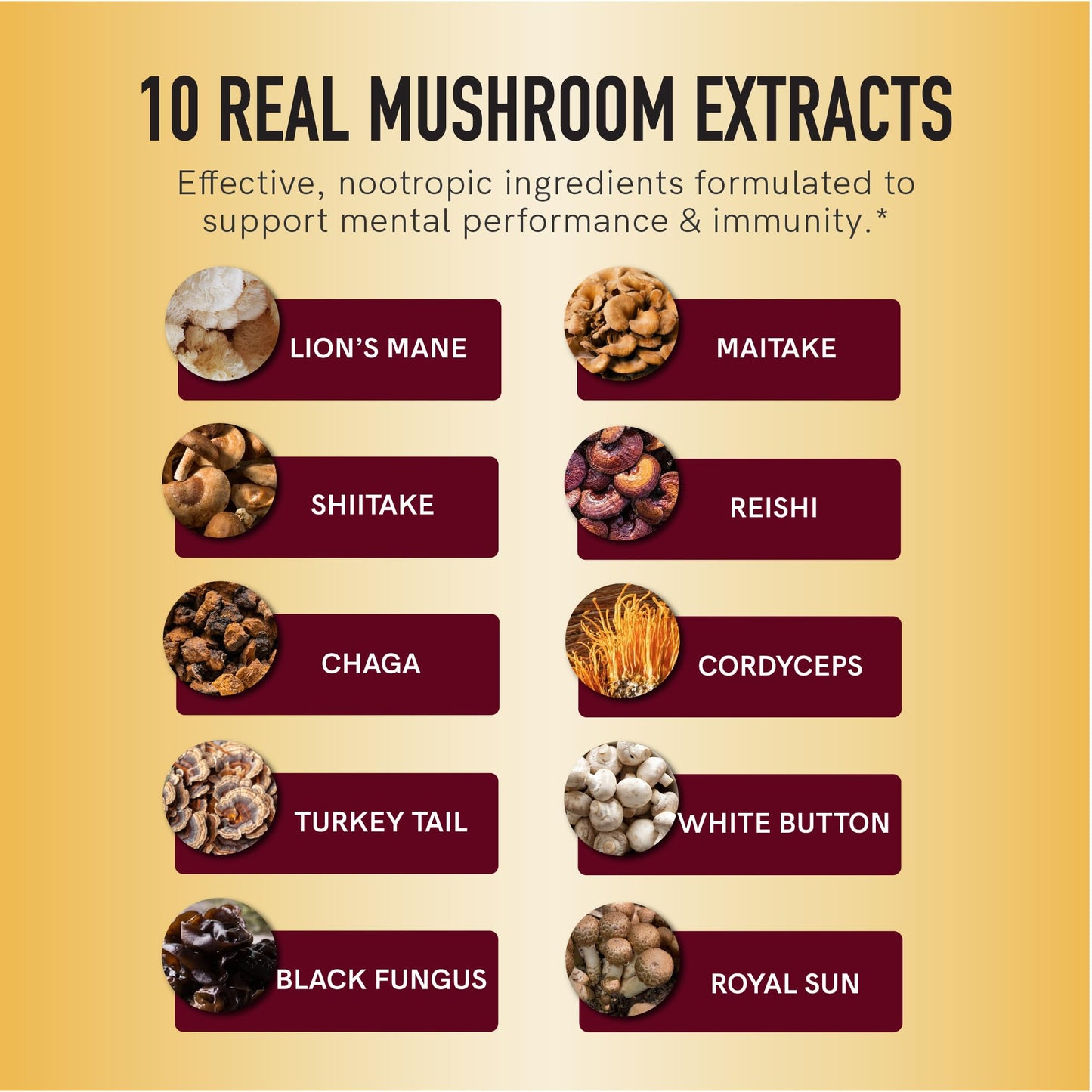 SMNutrition Mushroom Gummies for Adults with Lions Mane, Turkey Tail, Reishi, Cordyceps, Chaga & Maitake - Cognitive Function & Immune Health - Raspberry Flavor - 60 Gummies