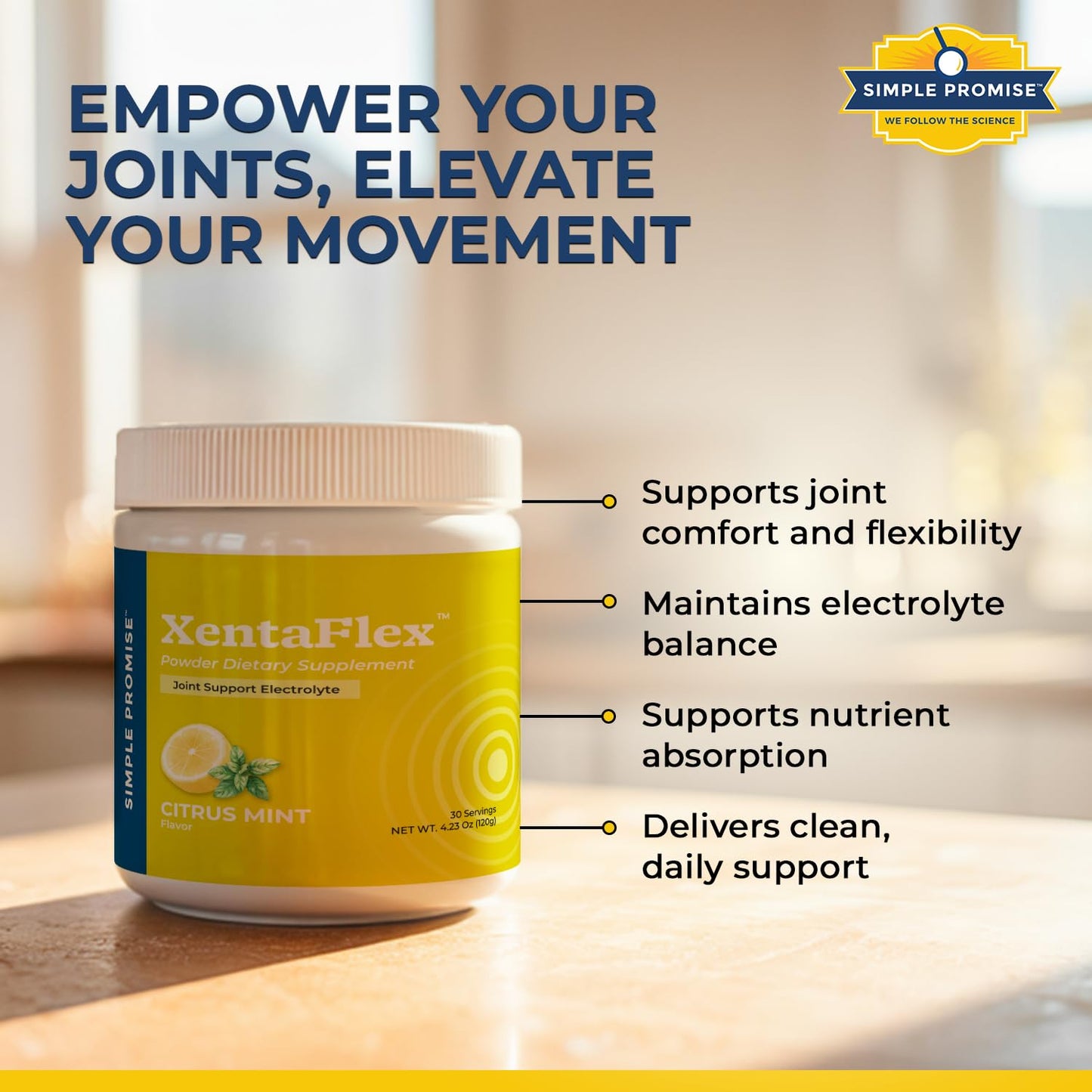 Simple Promise XentaFlex Joint Support Electrolyte Powder 4.23 Ounce