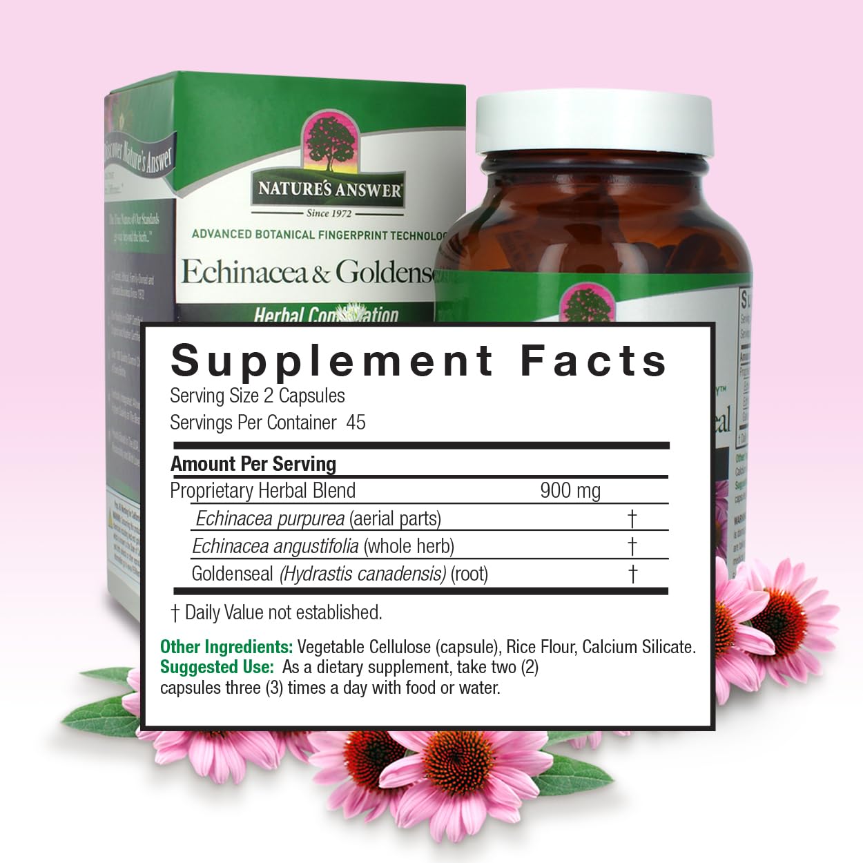 Nature's Answer Echinacea & Goldenseal Capsule 90 Count