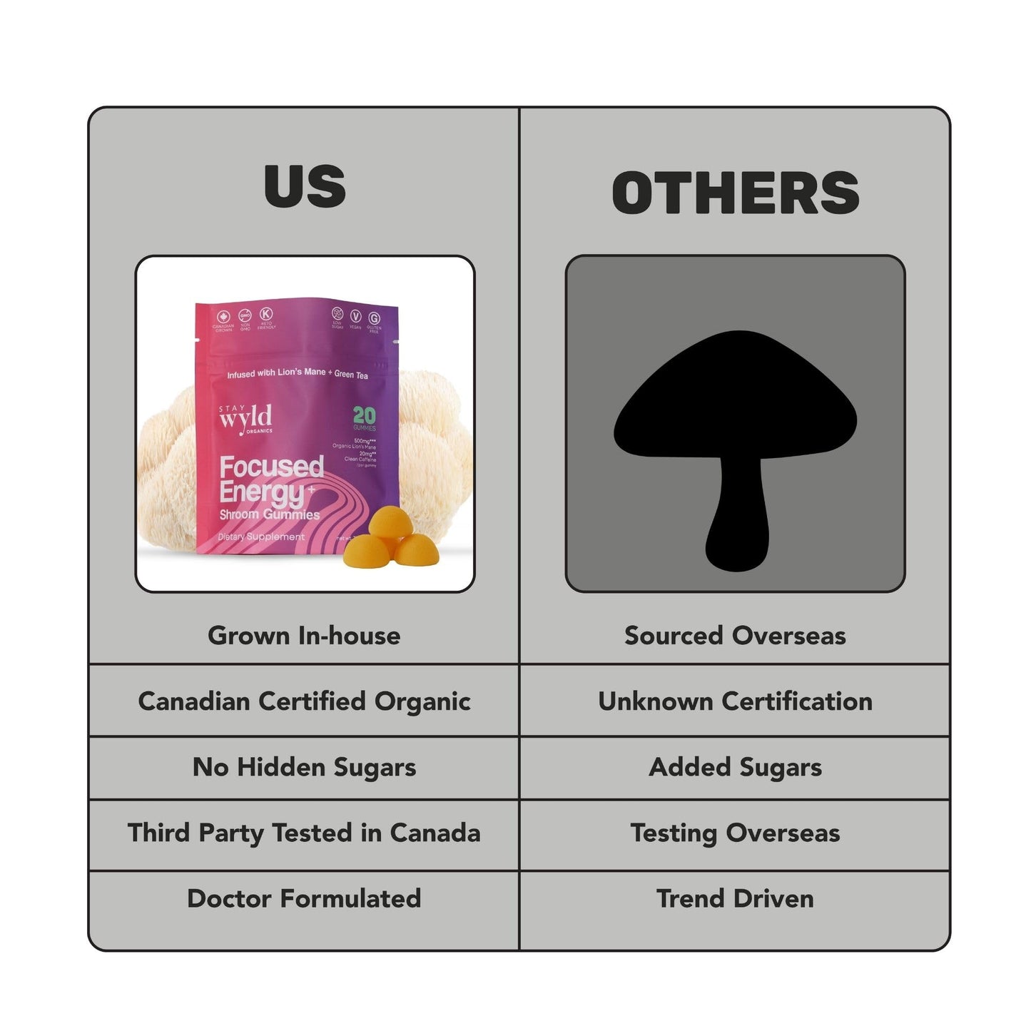 Stay Wyld Organics Focused Energy+ Mushroom Gummies with Lion's Mane & Green Tea, 20 Gummies