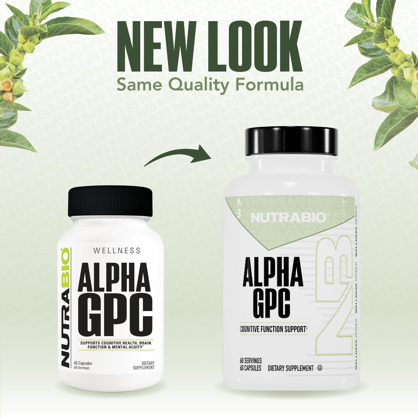 NutraBio Alpha GPC 300mg Capsules, 60 Count