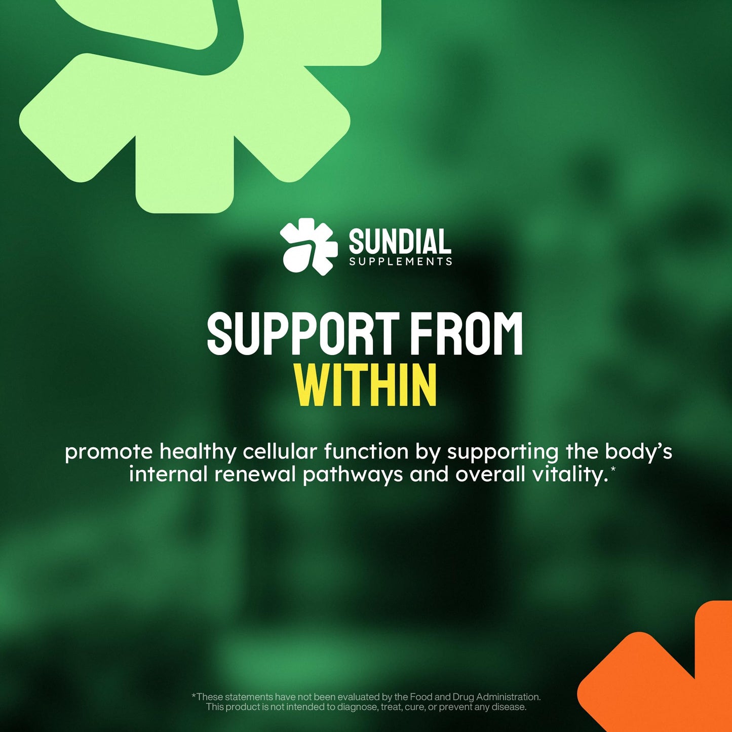 Sundial Supplements Spermidine 12 mg with Proprietary Blend, NR, NMN, PQQ, Magnesium Bisglycinate, Black Pepper, Adult Daily Supplement Capsule, 90 Capsules