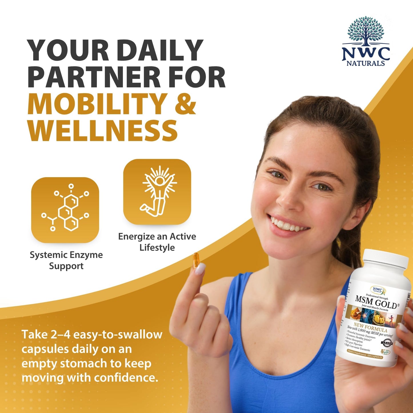 NWC Naturals MSM Gold Systemic Enzyme Supplement Capsules 300