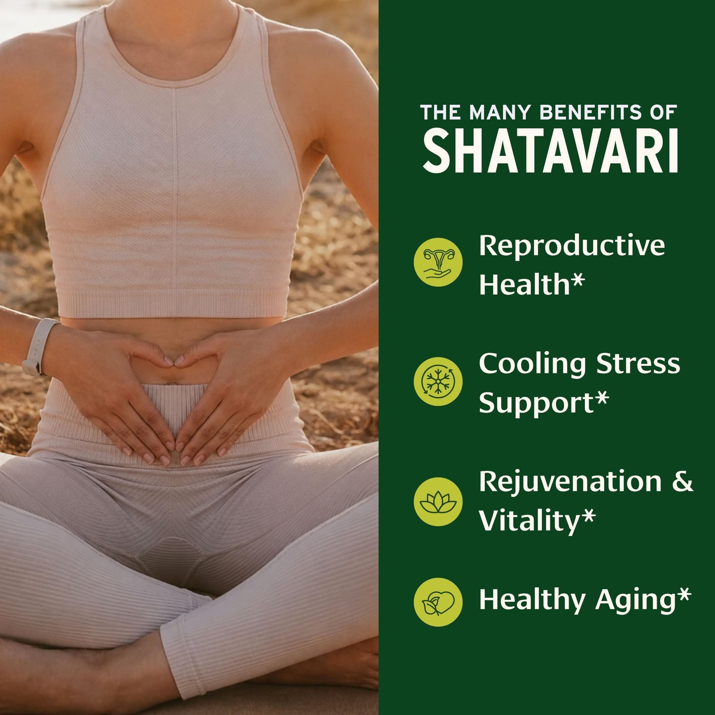 Banyan Botanicals Shatavari Powder 8 Ounce