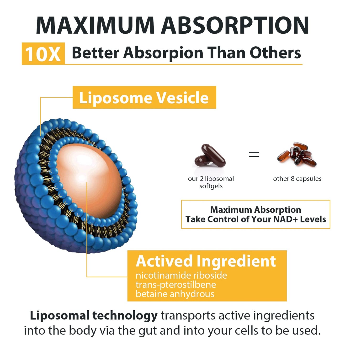 Orgabay Liposomal Nicotinamide Riboside 2000 MG with TMG and Pterostilbene Softgels, 120 Count