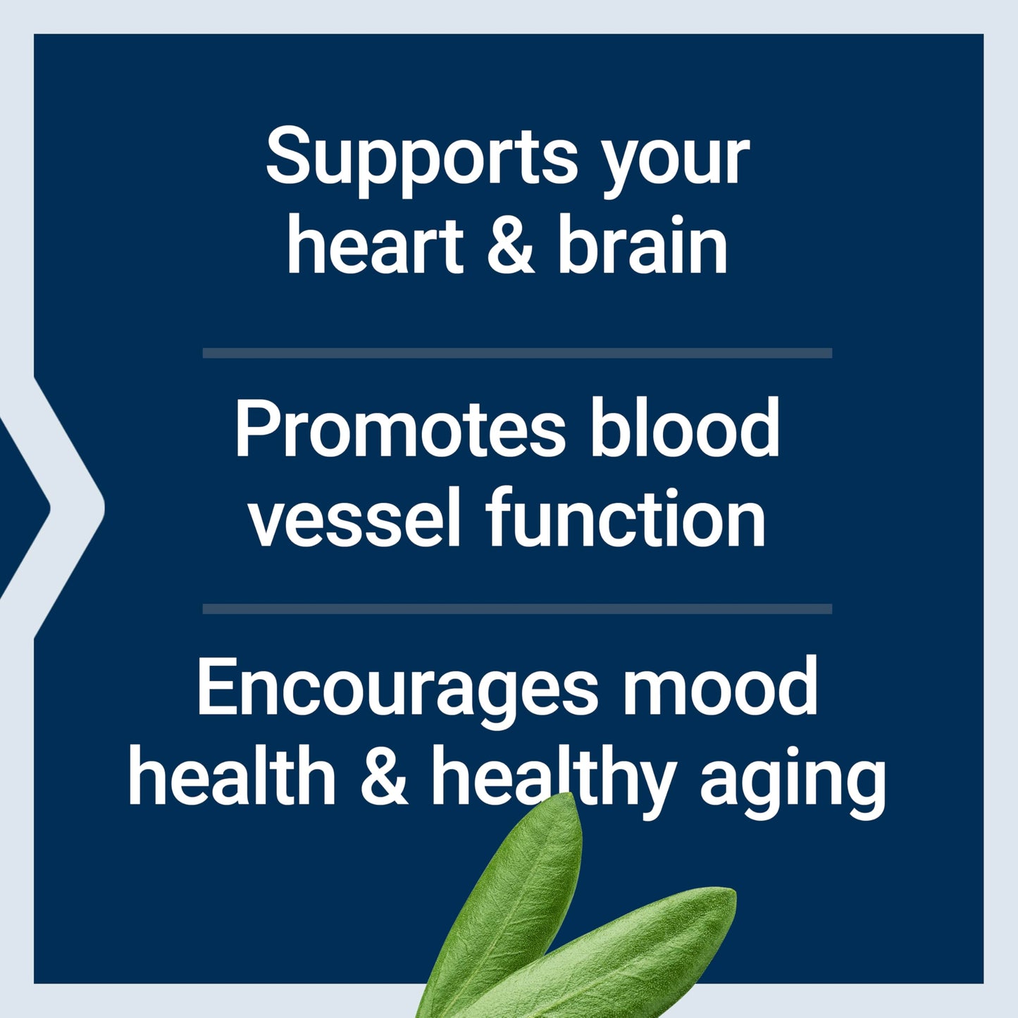 Life Extension Super Omega-3 EPA/DHA Fish Oil Softgel 60 Count