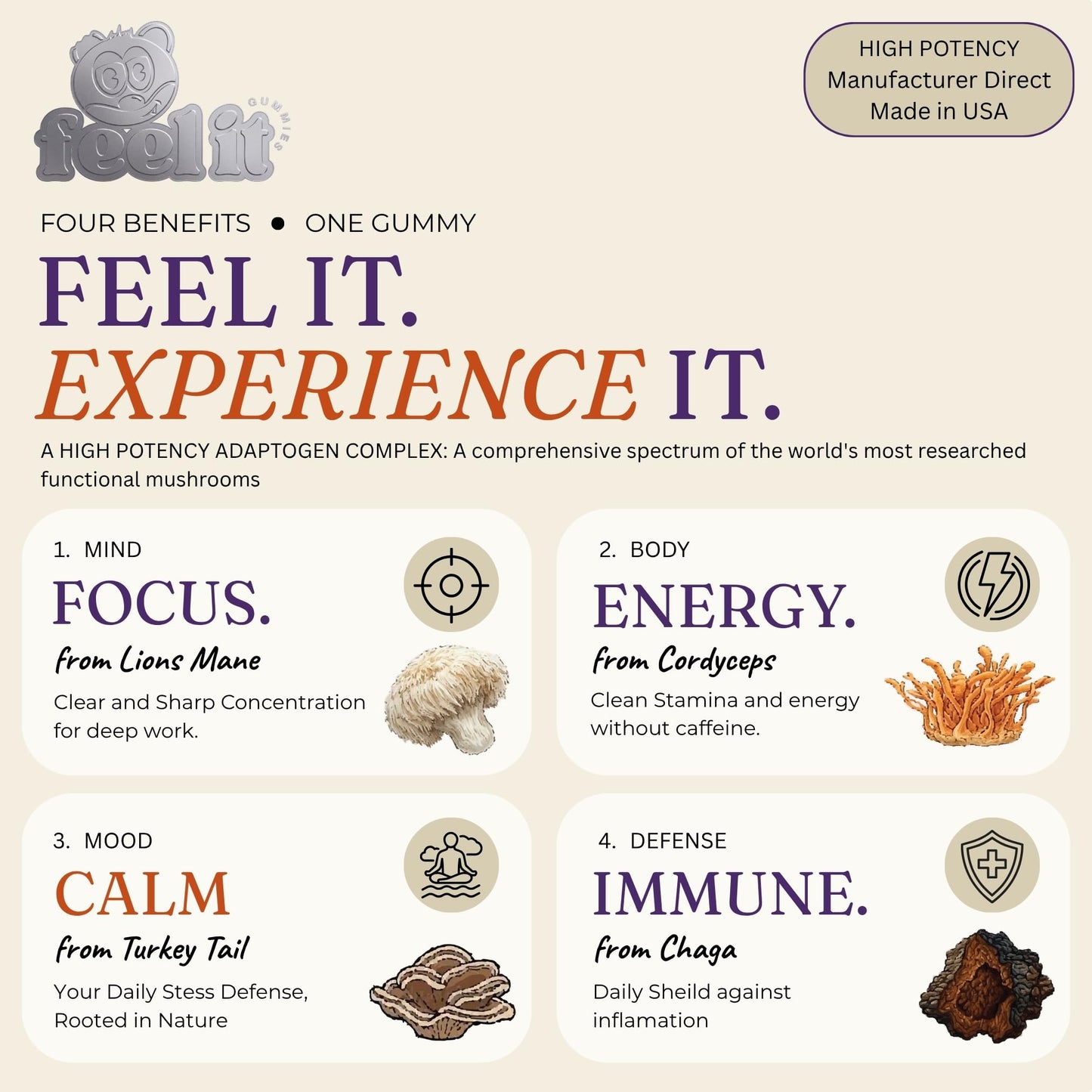 Feel It Gummies Premium Mushroom Blend with Lion's Mane, Cordyceps & Chaga - High Potency Nootropic Focus, Immune Support & Energy, Fruiting Body Extract, 60 Gummies