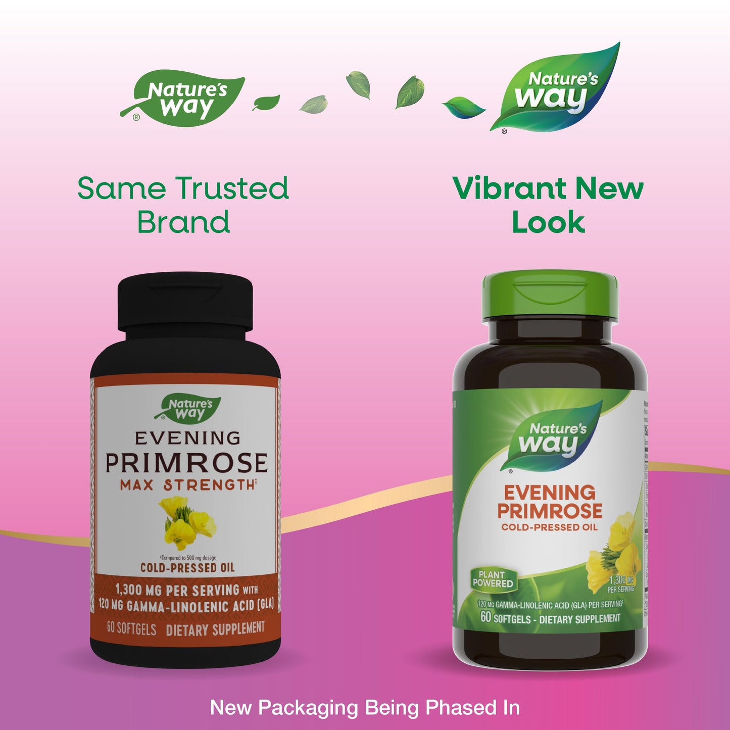 Nature's Way Evening Primrose Oil Softgels, 60 Count