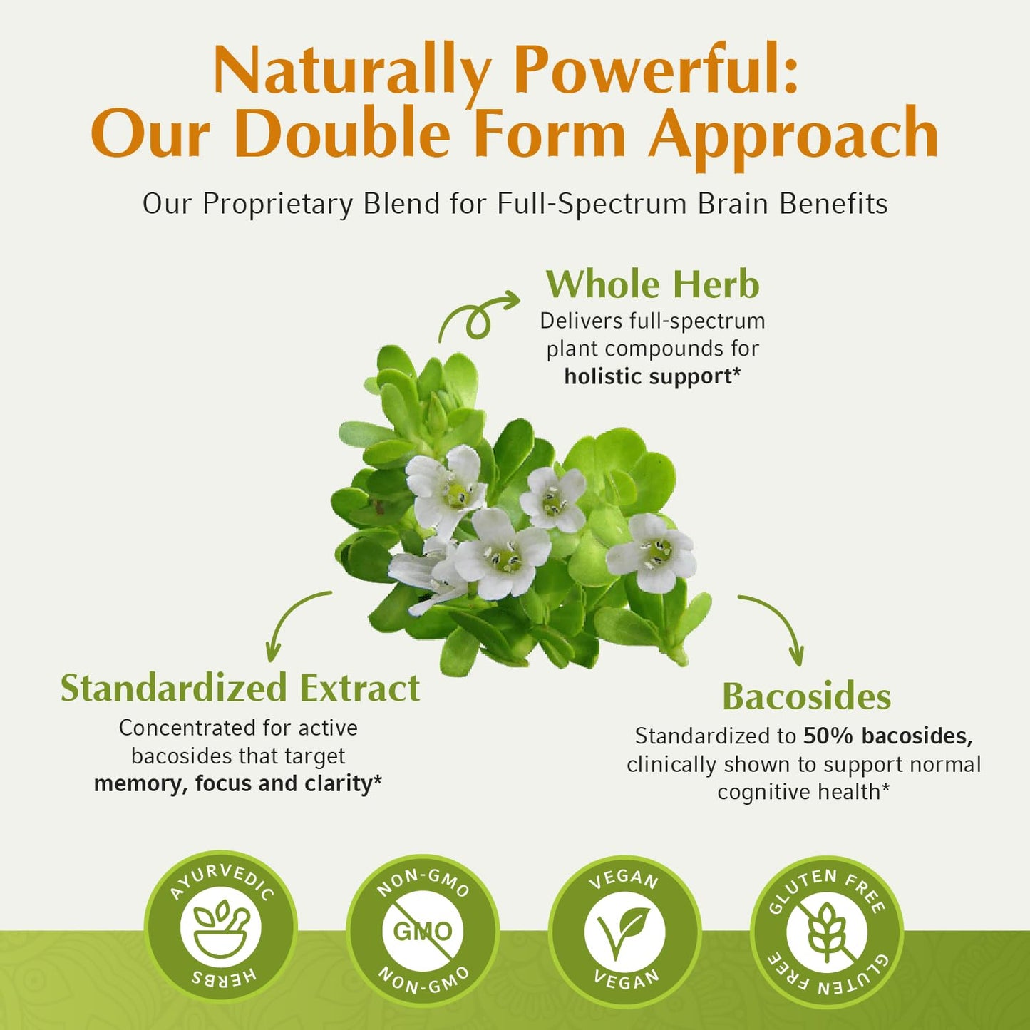 Jiva Botanicals Bacopa Monnieri Supplement Pure 1000mg per Serving Capsules, 60 Count