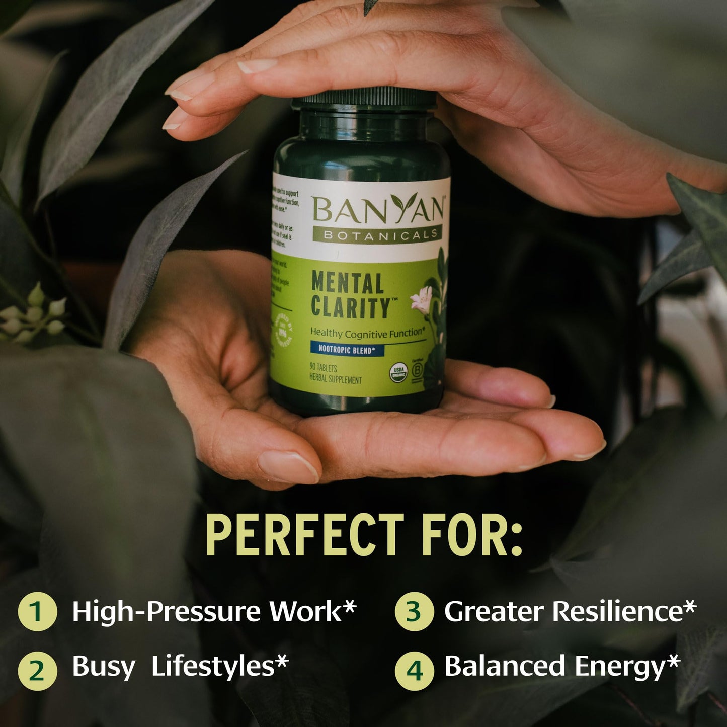 Banyan Botanicals Organic Mental Clarity – Herbal Alertness & Focus Supplement with Bacopa & Gotu Kola – Natural Support for a Calm Mind & Sustainable Mental Energy, 90 Tablets
