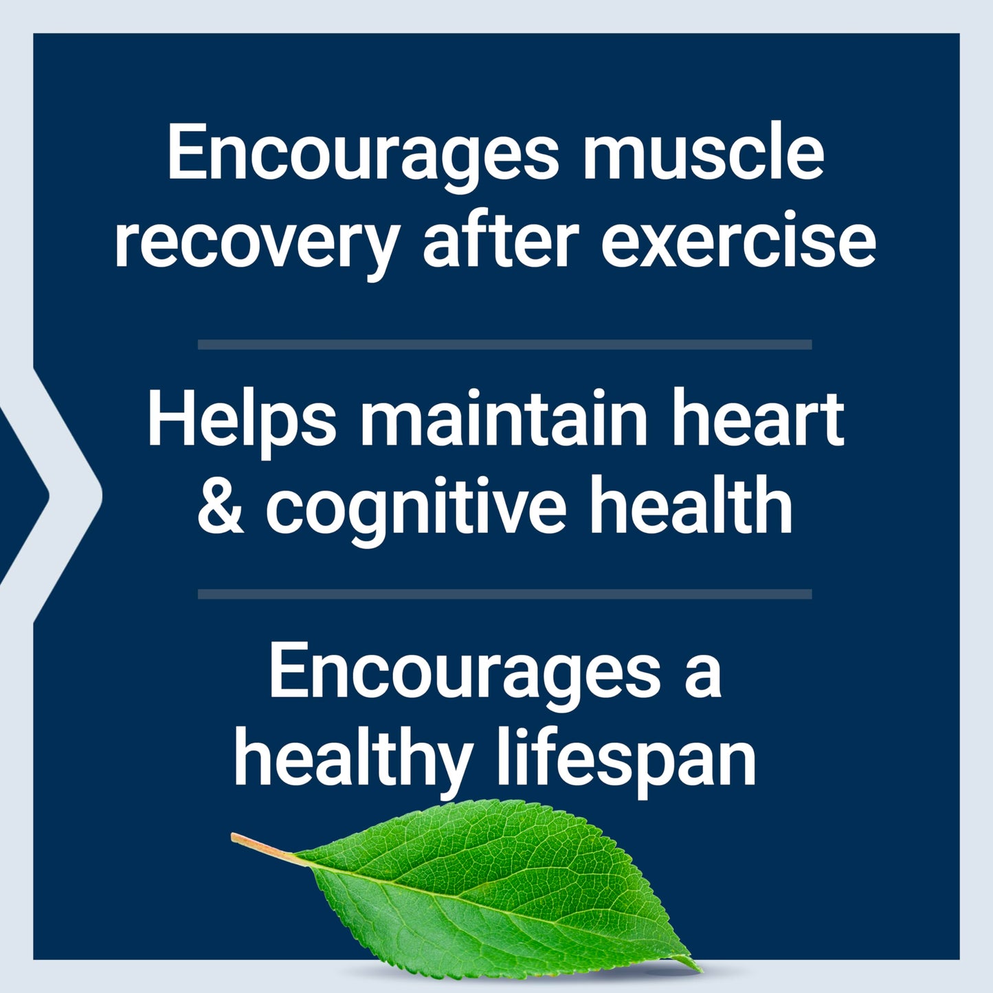 Life Extension Taurine Capsule 180 Capsules