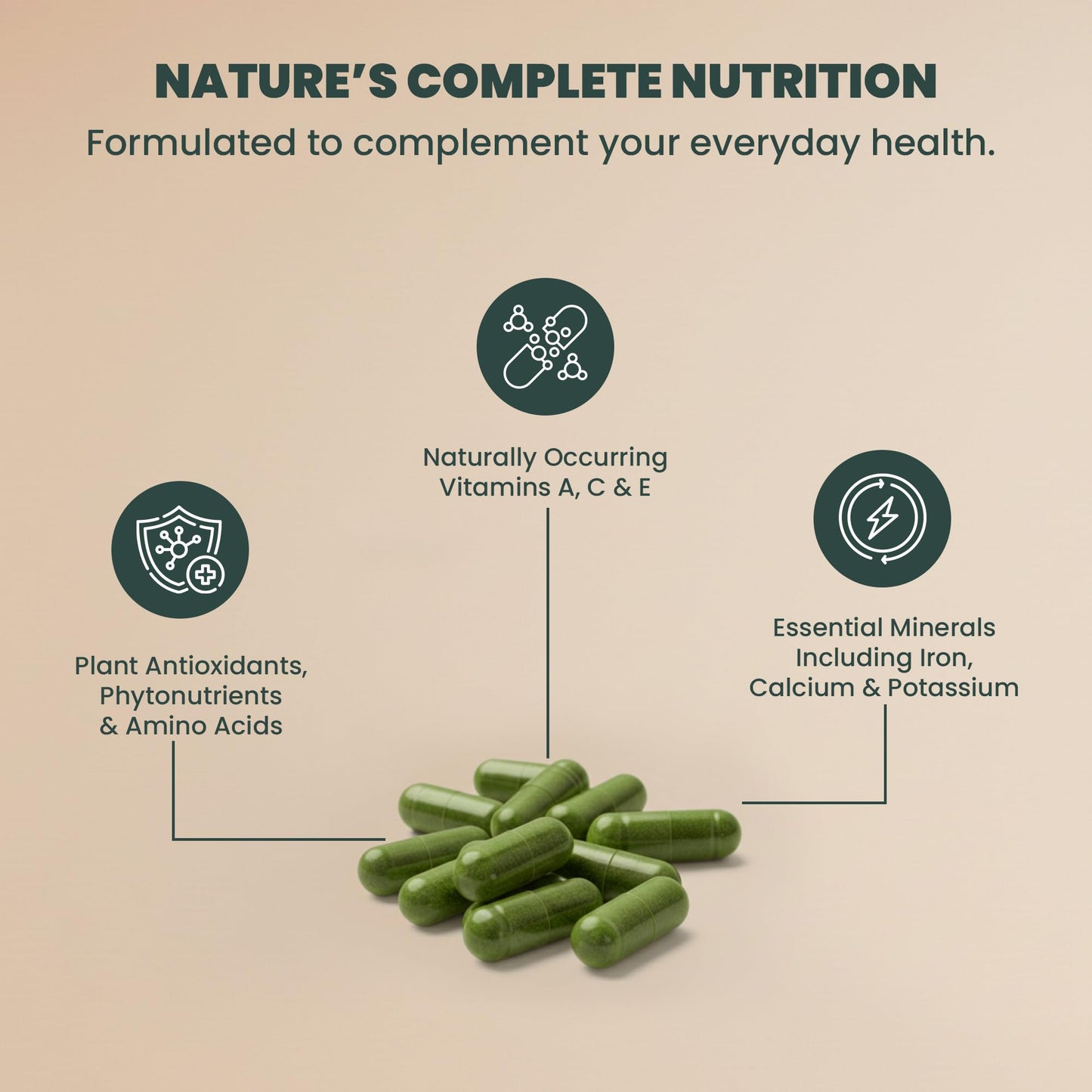 EVARA Moringa Powder Organic Capsules 500mg 100 Count