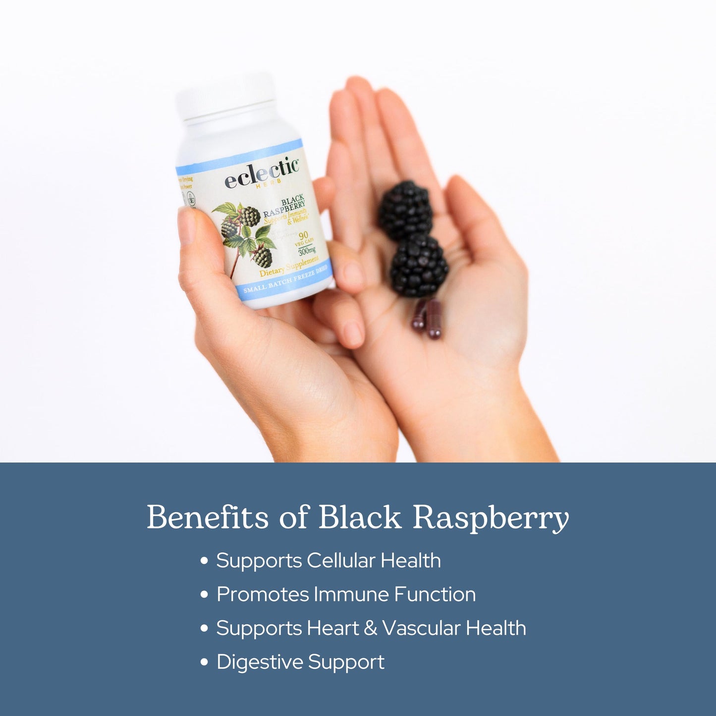 Eclectic Institute Black Raspberry Capsules (90 Count)