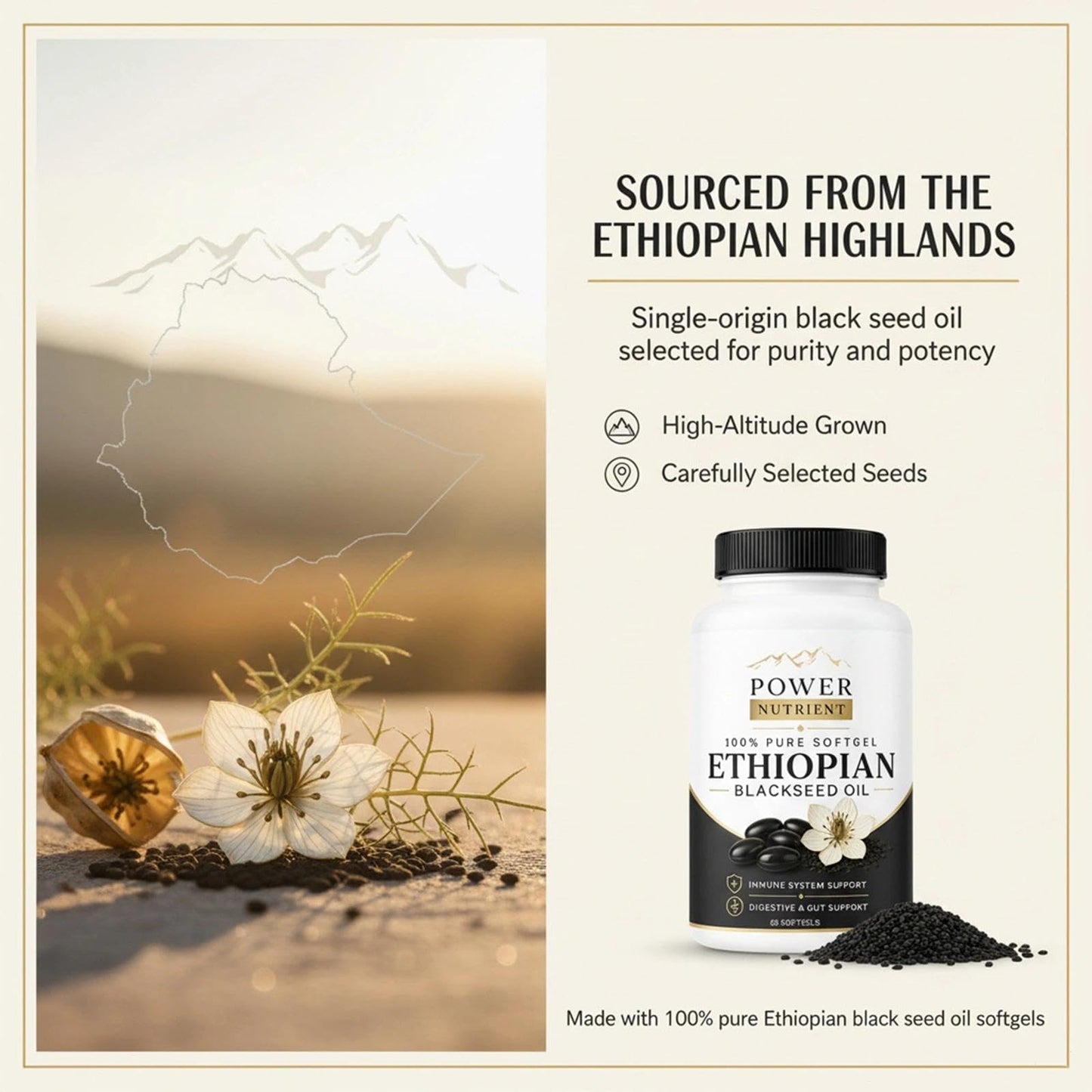 Golden Dunes Power Nutrient Ethiopian Black Seed Oil Capsules, 60 Count