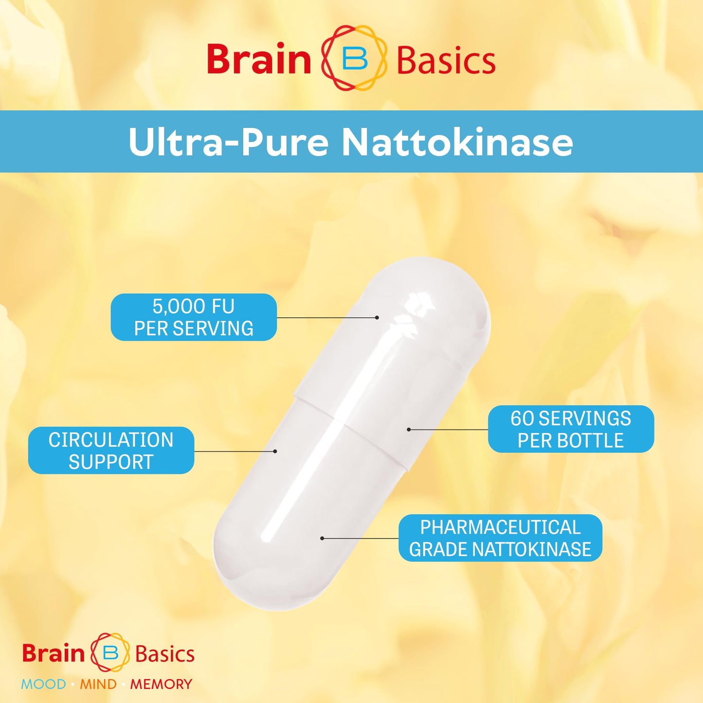Brain Bean Brain Basic Ultra-Pure Nattokinase 5000 FU Capsule 120 Count
