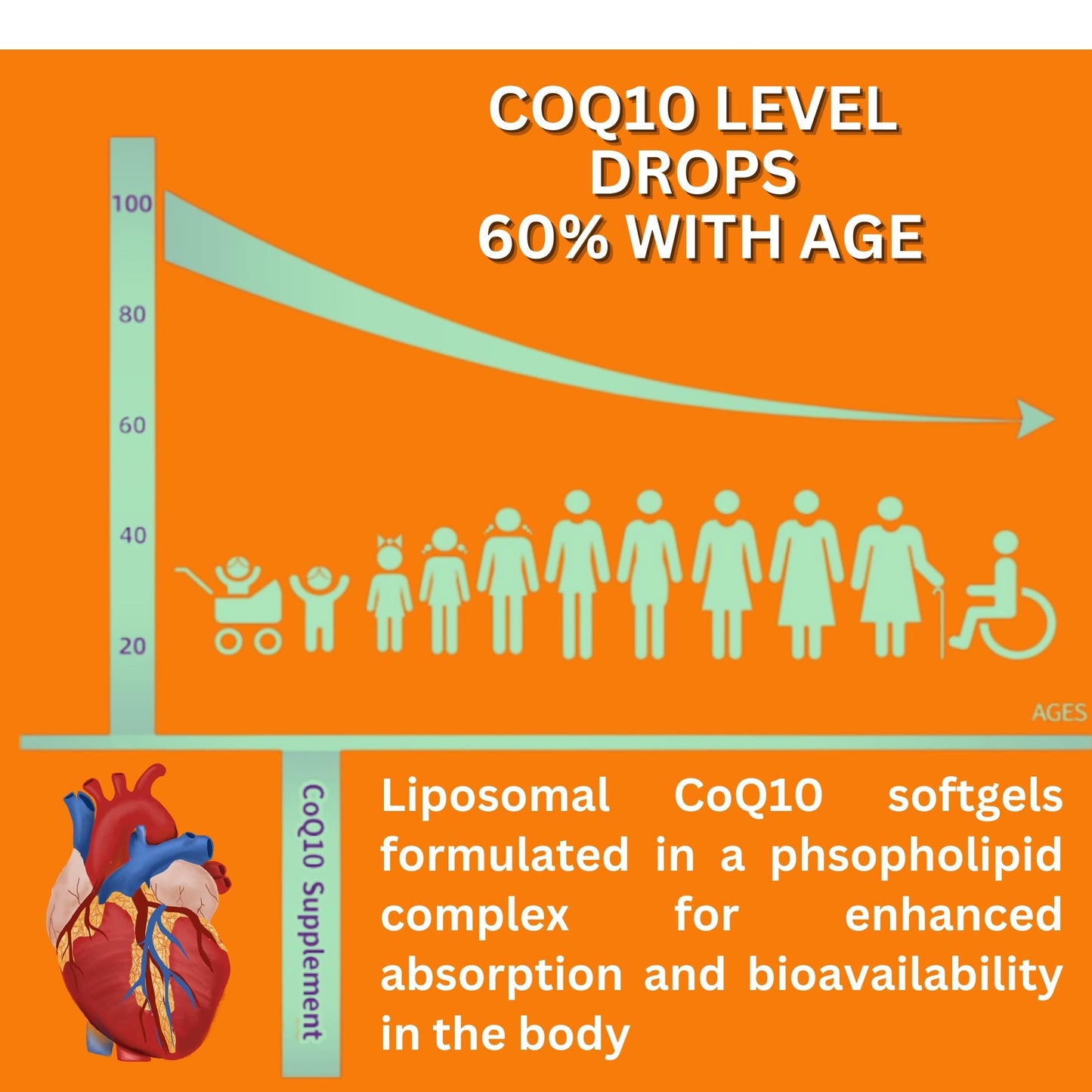 Nikoni Liposomal CoQ10 400 mg Softgel, 60 Softgels