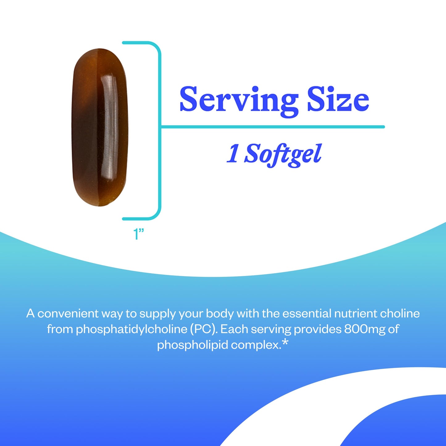 Seeking Health Optimal PC Softgels 90 Count