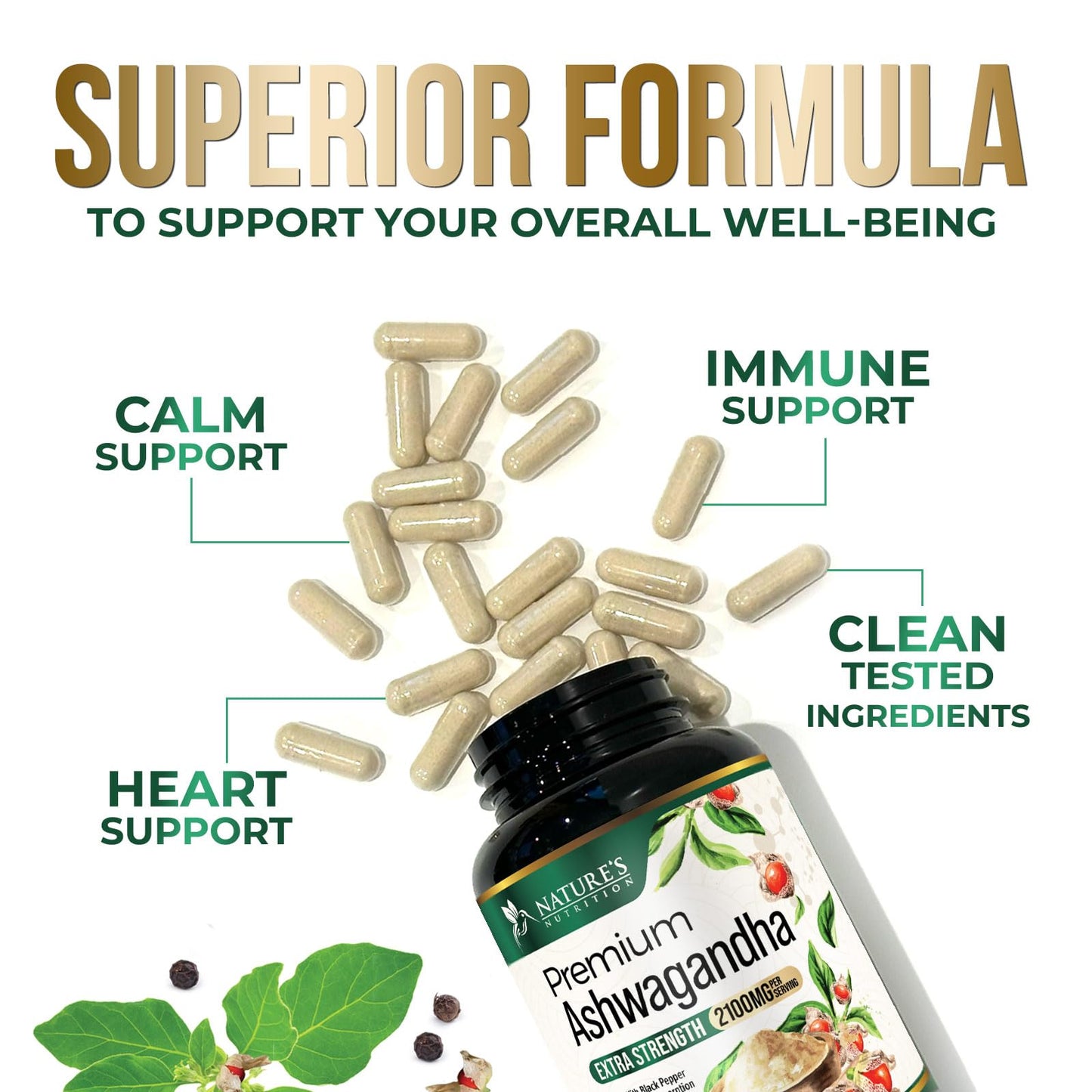 Nature's Nutrition Ashwagandha Capsules 120 Capsules
