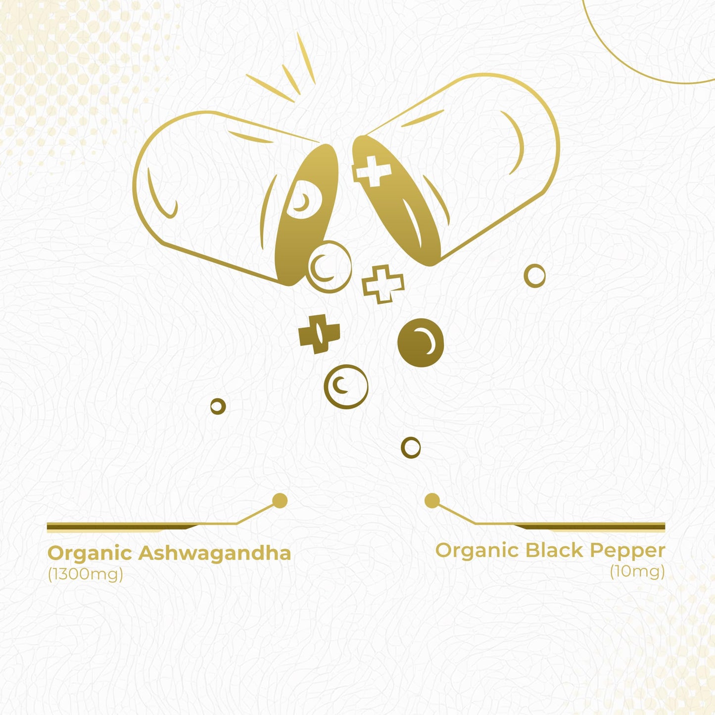 Foods For Gut Ashwagandha 1300 mg Capsule, 120 Capsules