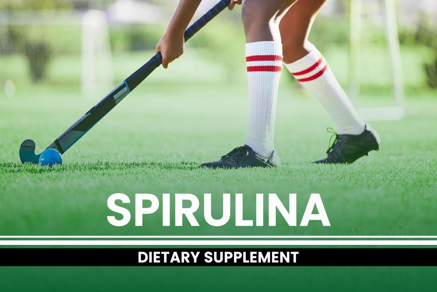 PURE ORIGINAL INGREDIENTS Spirulina 730 Capsules
