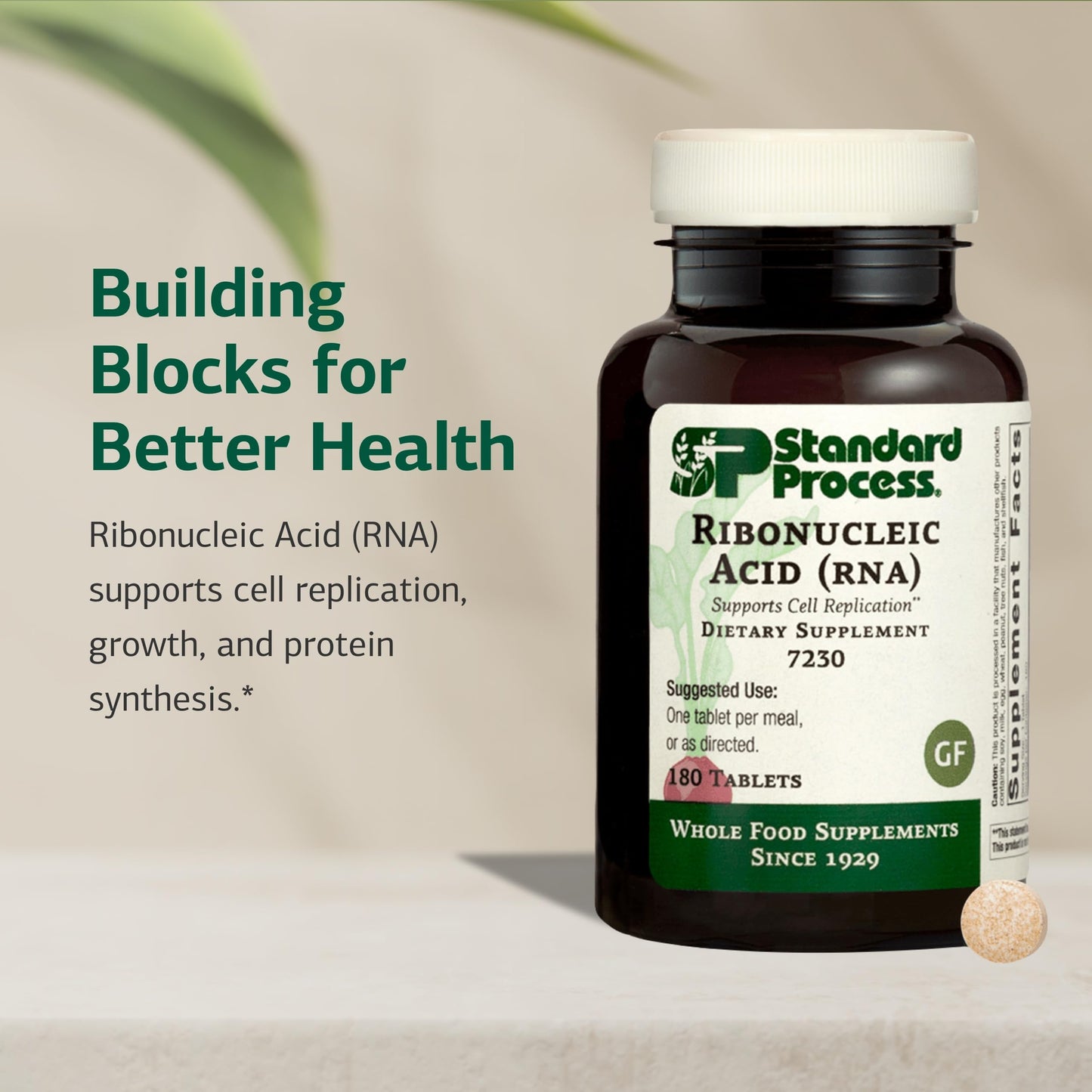 Standard Process Inc. Ribonucleic Acid RNA Dietary Supplement Tablet 180 Tablets