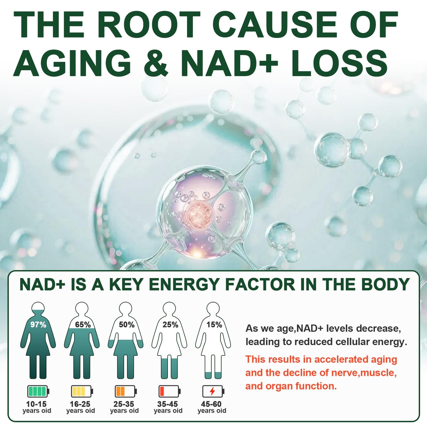 Vikaywoo NAD Supplement 1585 mg - True NAD & Resveratrol, NMN Alternative Liposomal NAD+ for Women & Men, 120 Capsules