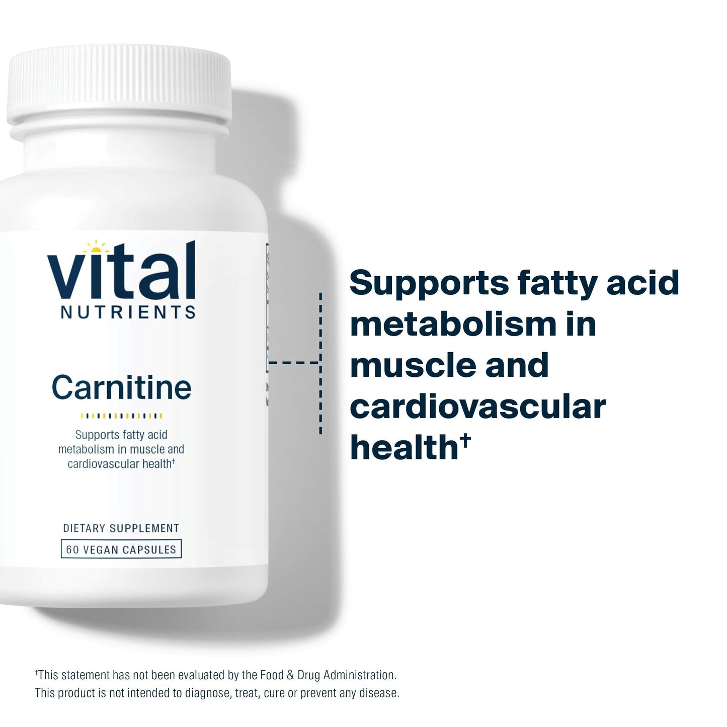 Vital Nutrients L-Carnitine 500mg Capsules, 60 Count