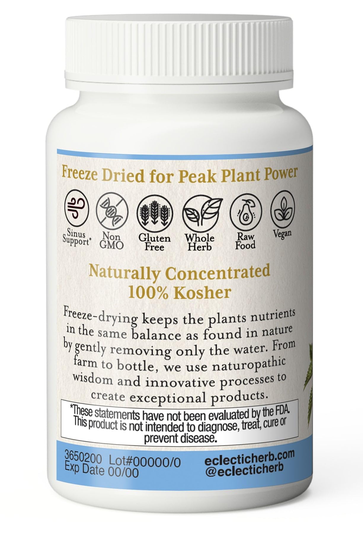 Eclectic Nettles Quercetin Capsule, 90 Count