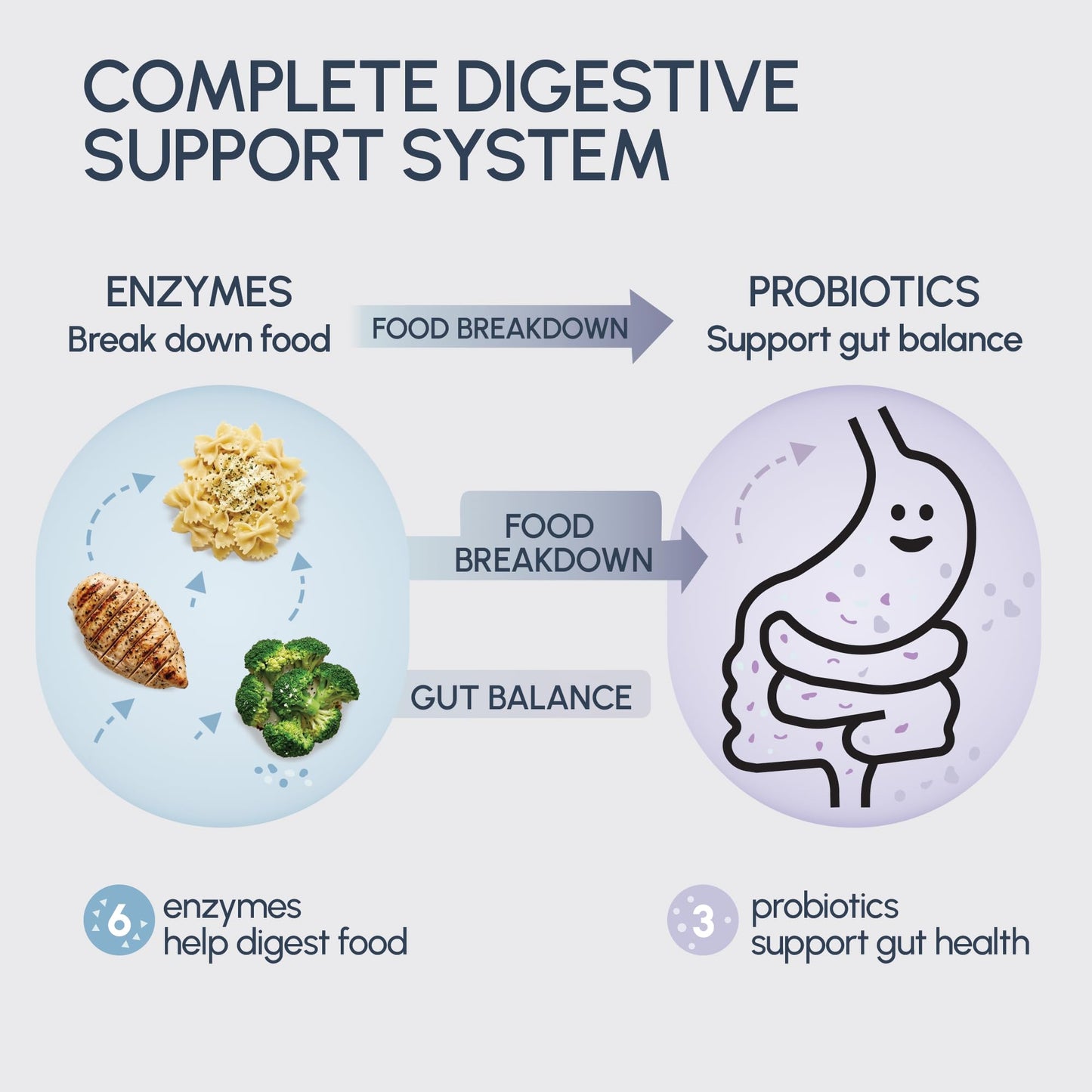 RYOS Digestive Enzymes for Bloating & Gas Relief – Debloat Pills for Women & Men – 6 Enzymes + 3 Probiotics – Gut Health & Digestion Supplement – RIGHTmyGUT Daily Digestive Support, 60 Vegan Capsules
