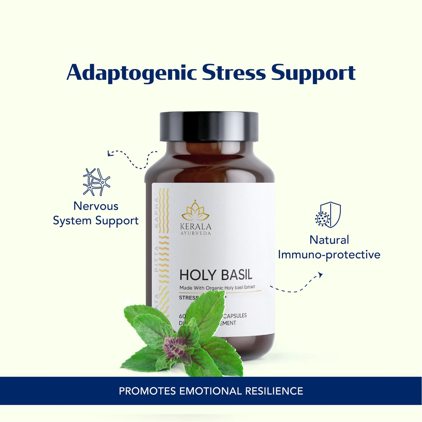 Kerala Ayurveda Holy Basil Tulsi Extract Capsules 1 Capsule