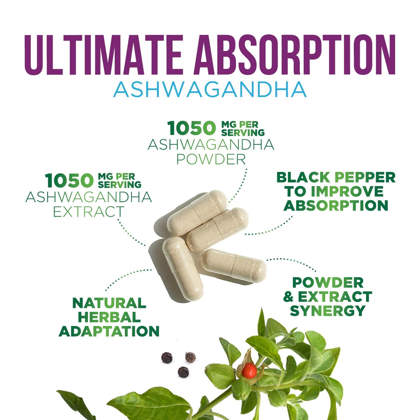 Nature's Strength Ashwagandha Root Extract Capsules, 60 Count