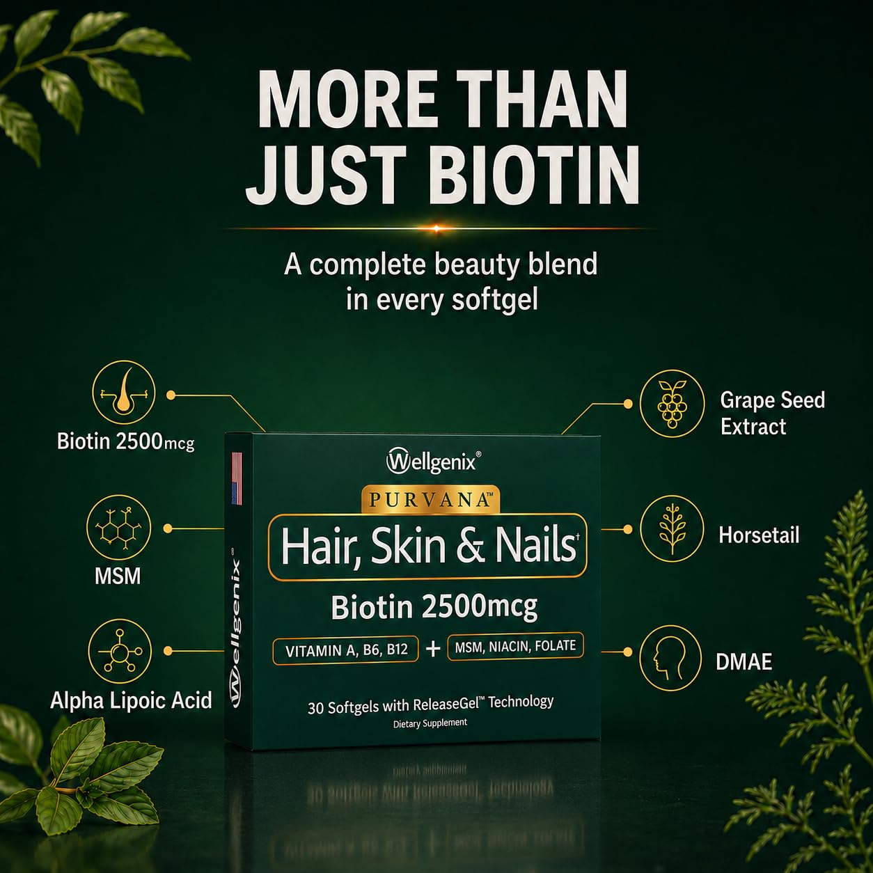 Wellgenix Purvana Hair Skin and Nails Supplement – 2500mcg Biotin Softgels with MSM & B-Complex – Daily Beauty Support for Stronger Nails & Hair Vitality, 60 Softgels