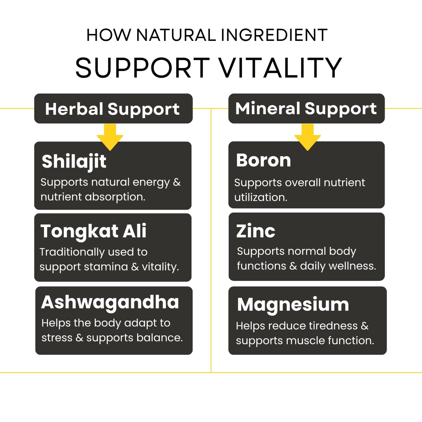 ROOTIVE Natural Testosterone Support for Men – Premium Shilajit Supplement with Tongkat Ali, Ashwagandha, Zinc, Magnesium & Boron – Fulvic Acid for Energy, Stamina & Male Vitality, Capsules, 60 Count