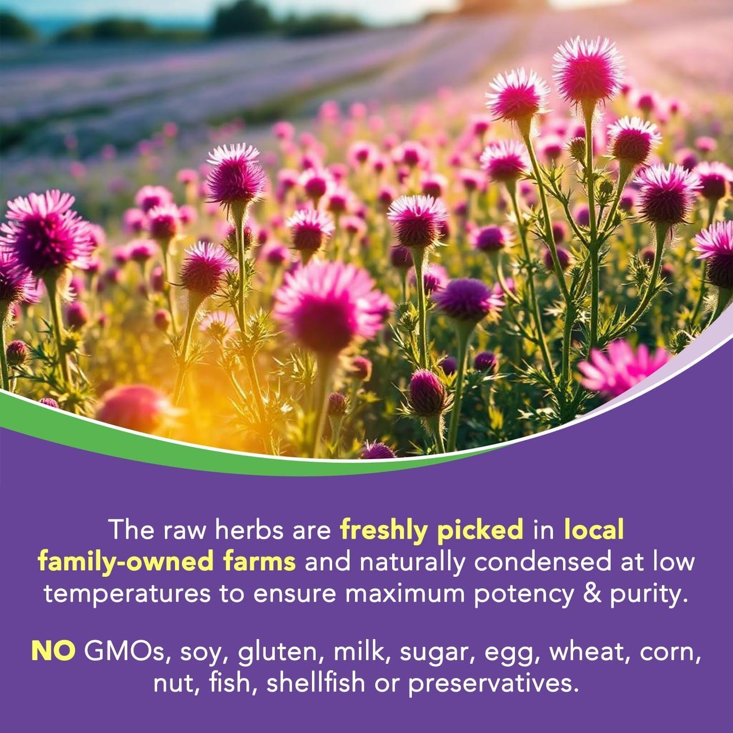 Surebounty Milk Thistle Complex Capsules 90