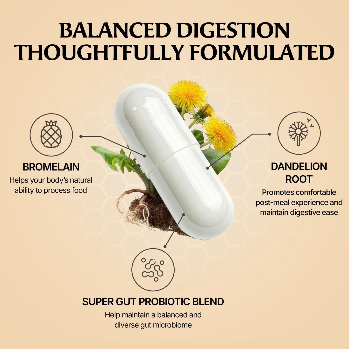 Paulina FITNESS Reset Daily Probiotic + Prebiotic Plant Digestive Enzymes – Advanced Gut Reset for Women – Bloating Relief, Weight Management, Digestion, Gut Health – Vegan, Shelf-Stable, 60 Capsules