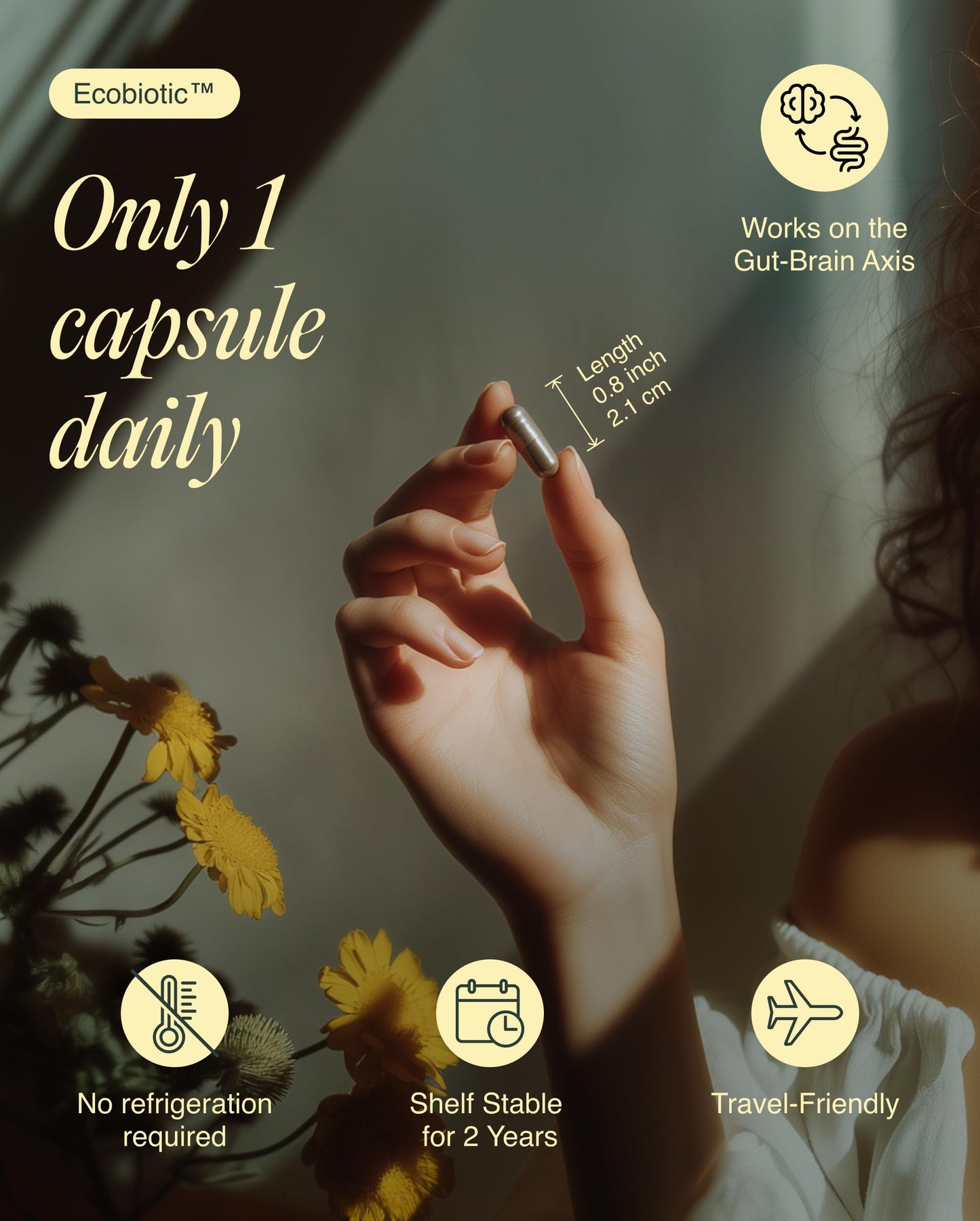 Ecosh Ecobiotic Calm + Mood Probiotic Gut–Brain Mood Support Supplement with Clinically Studied Strains (L. helveticus R0052, B. longum R0175, L. rhamnosus GG, L. plantarum 1012), Ashwagandha, VIT C & B6, 30 Capsules